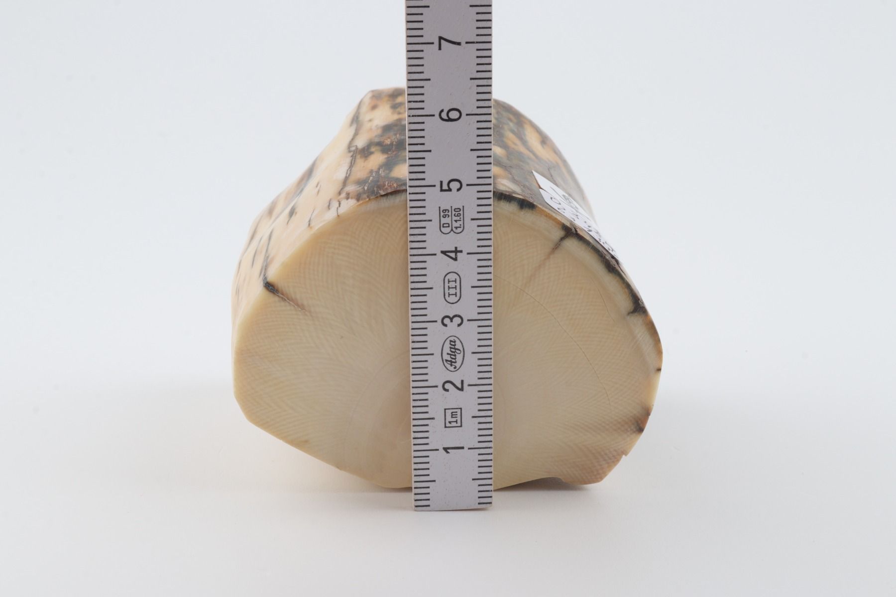 Natural mammoth ivory piece