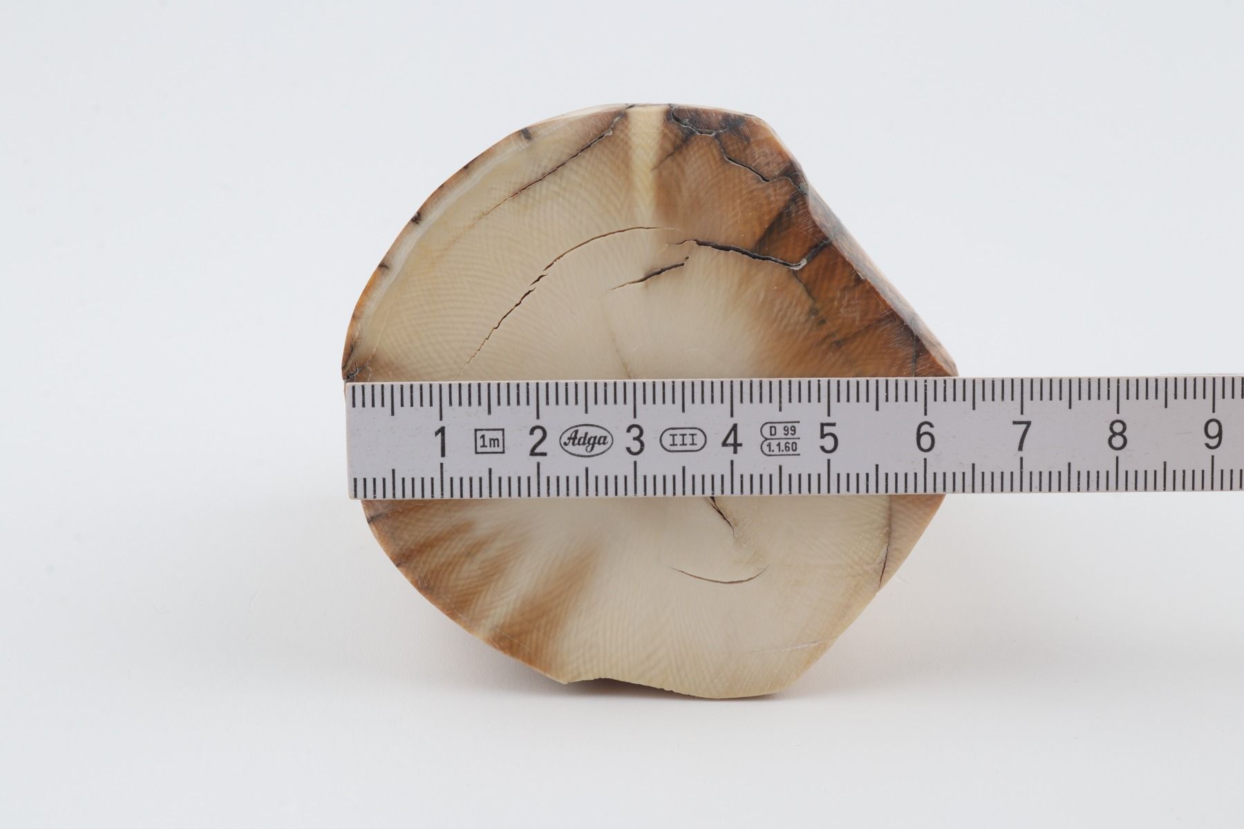Natural mammoth ivory piece