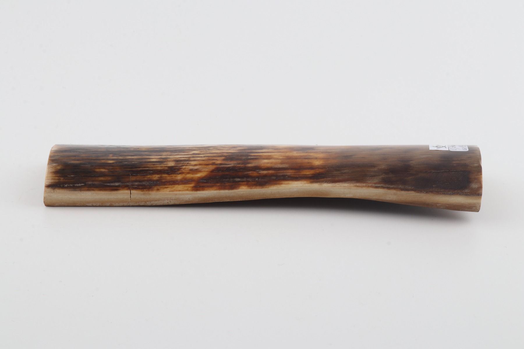 Brown mammoth bark