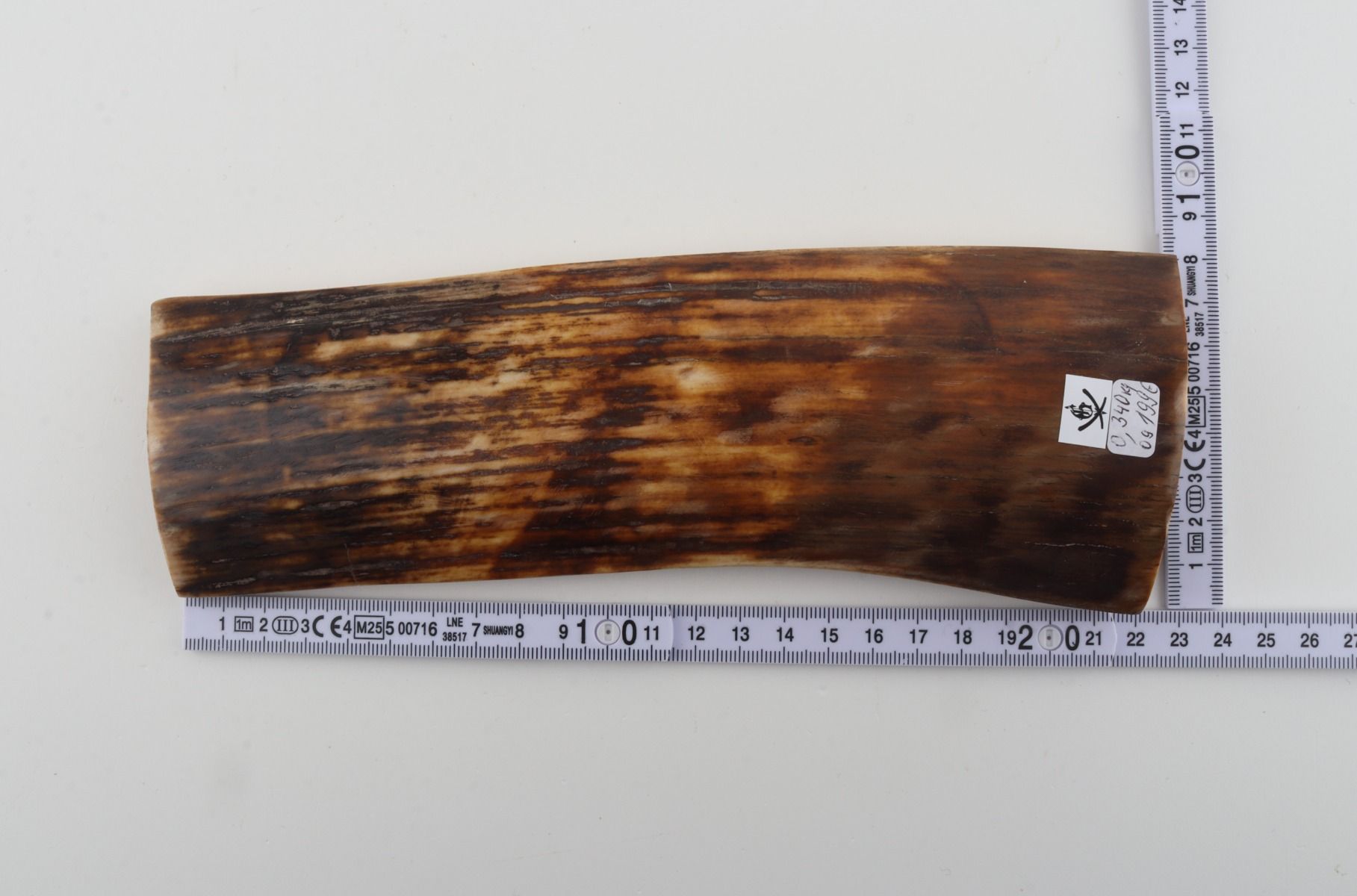 Brown mammoth bark