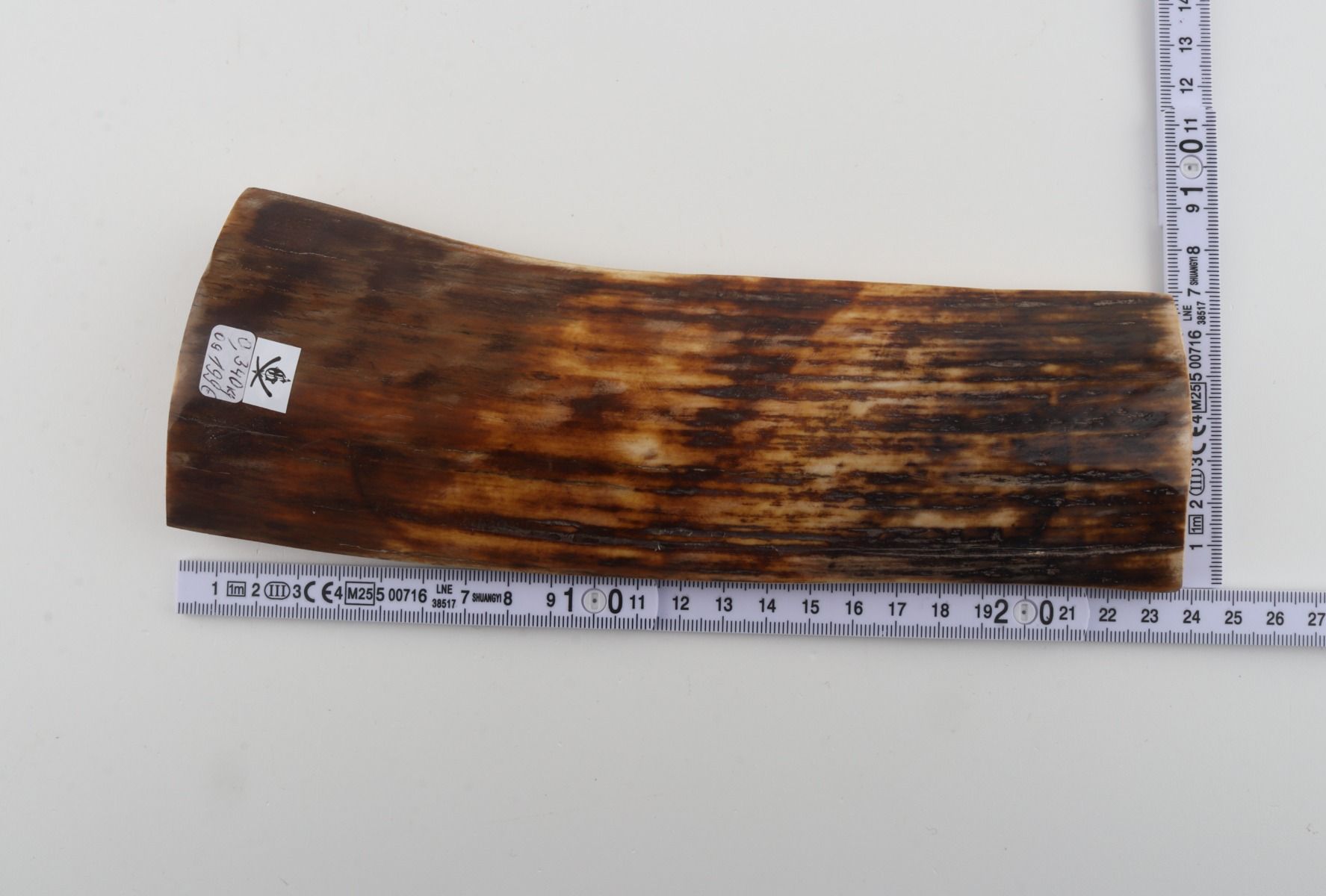 Brown mammoth bark