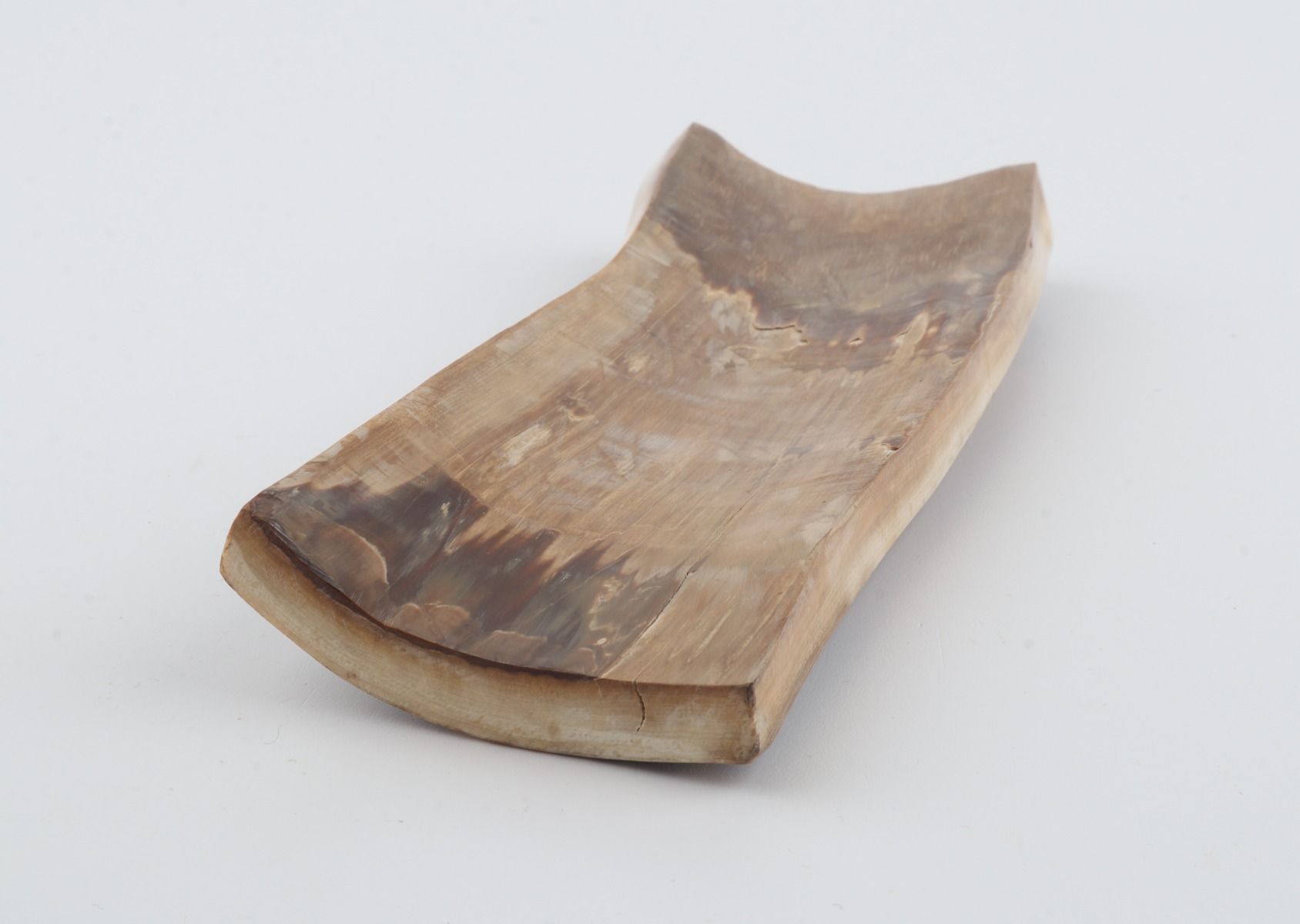 Brown mammoth bark