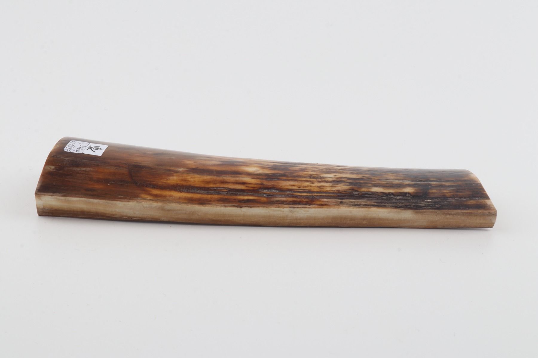Brown mammoth bark