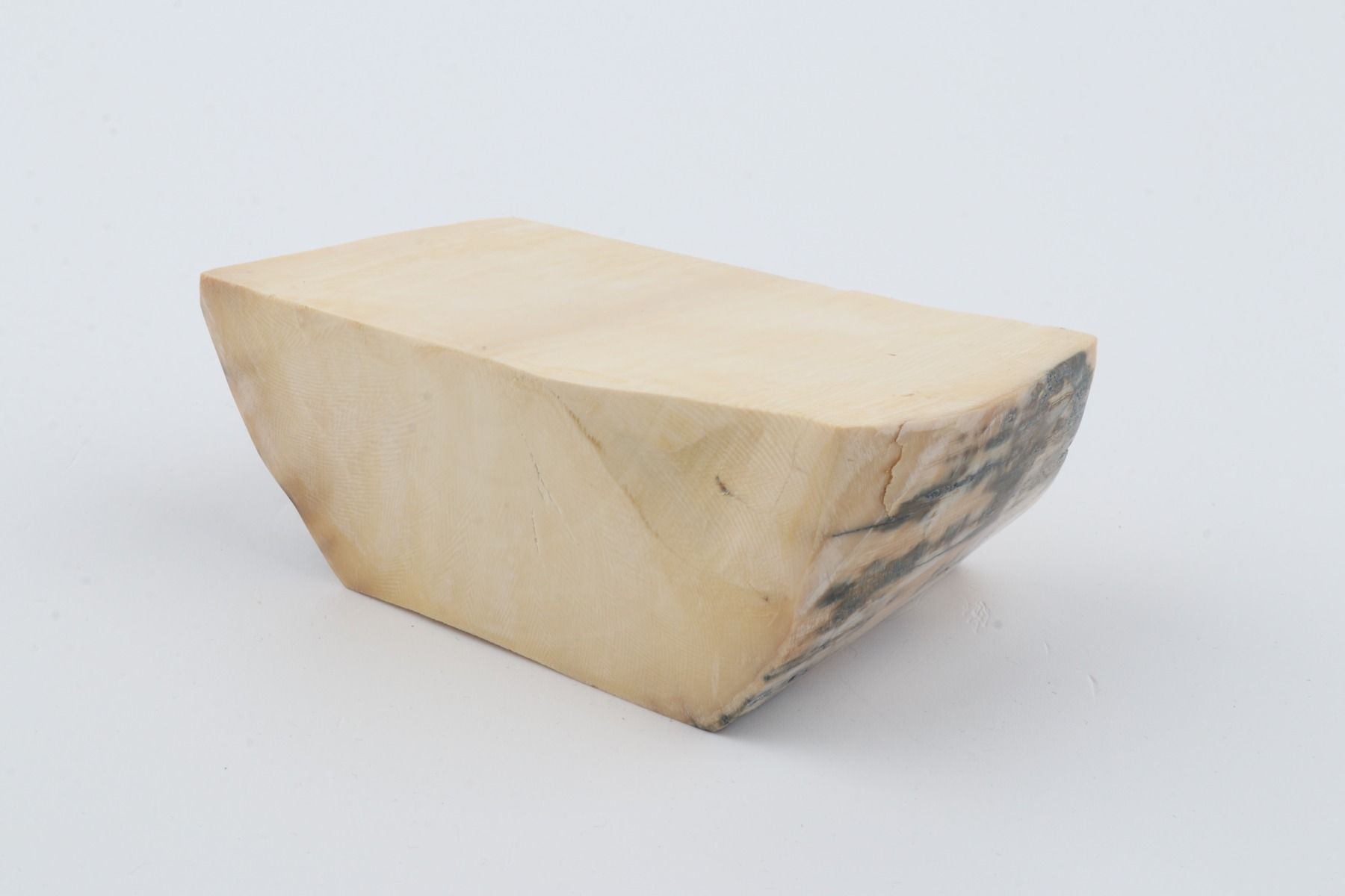 White mammoth ivory segment