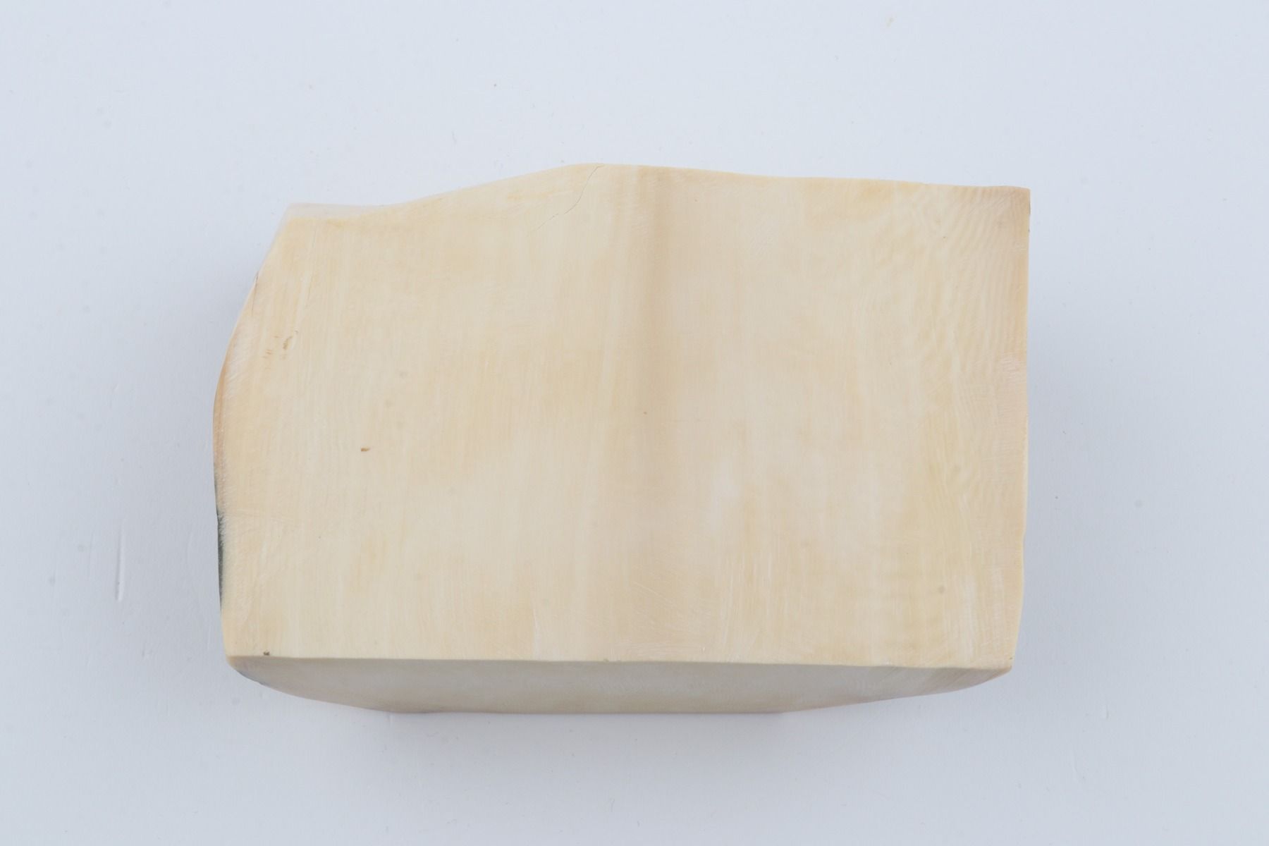 White mammoth ivory segment