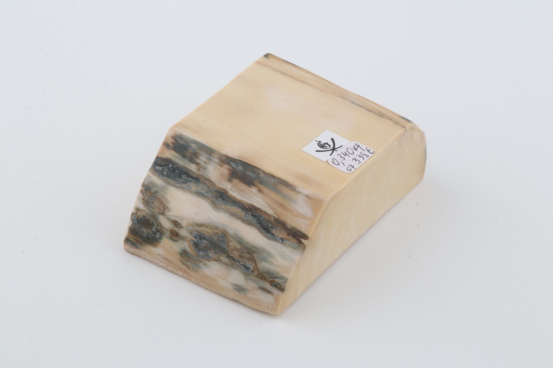 White mammoth ivory segment