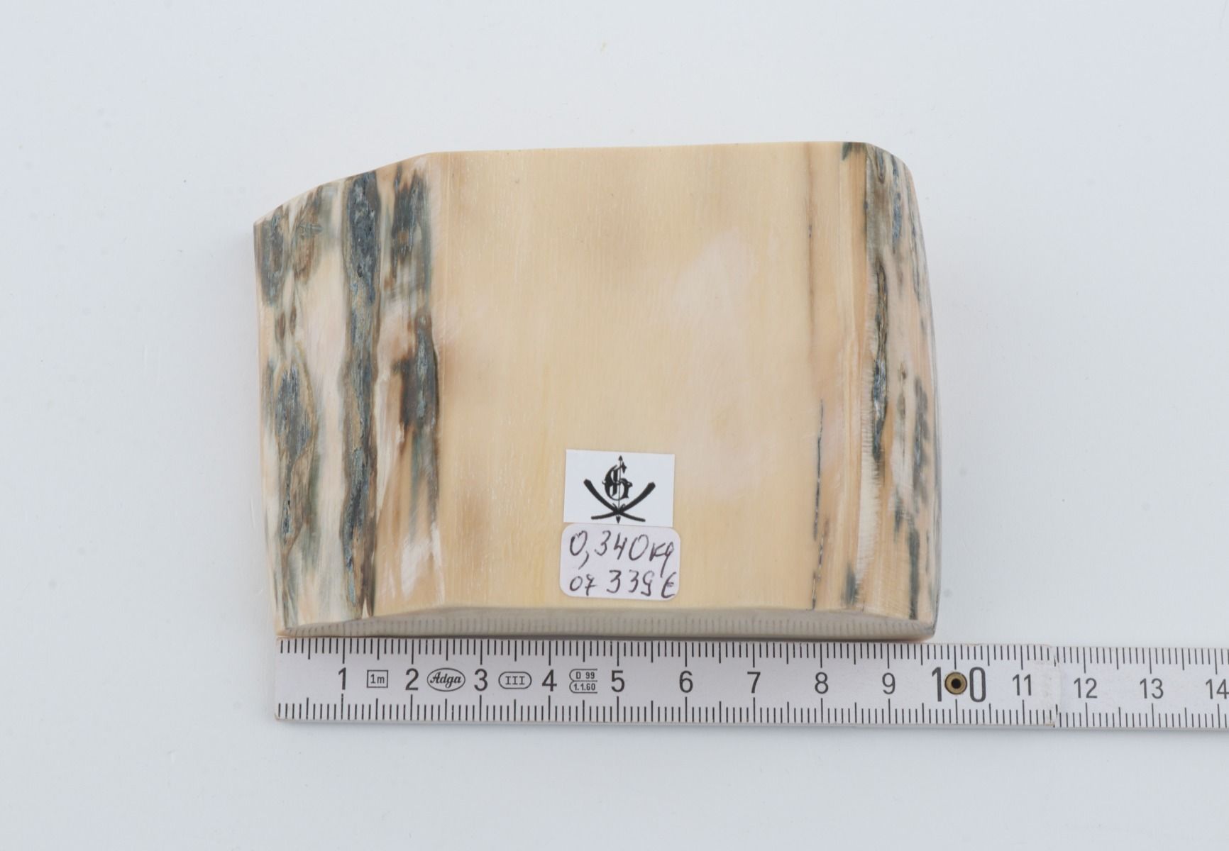 White mammoth ivory segment