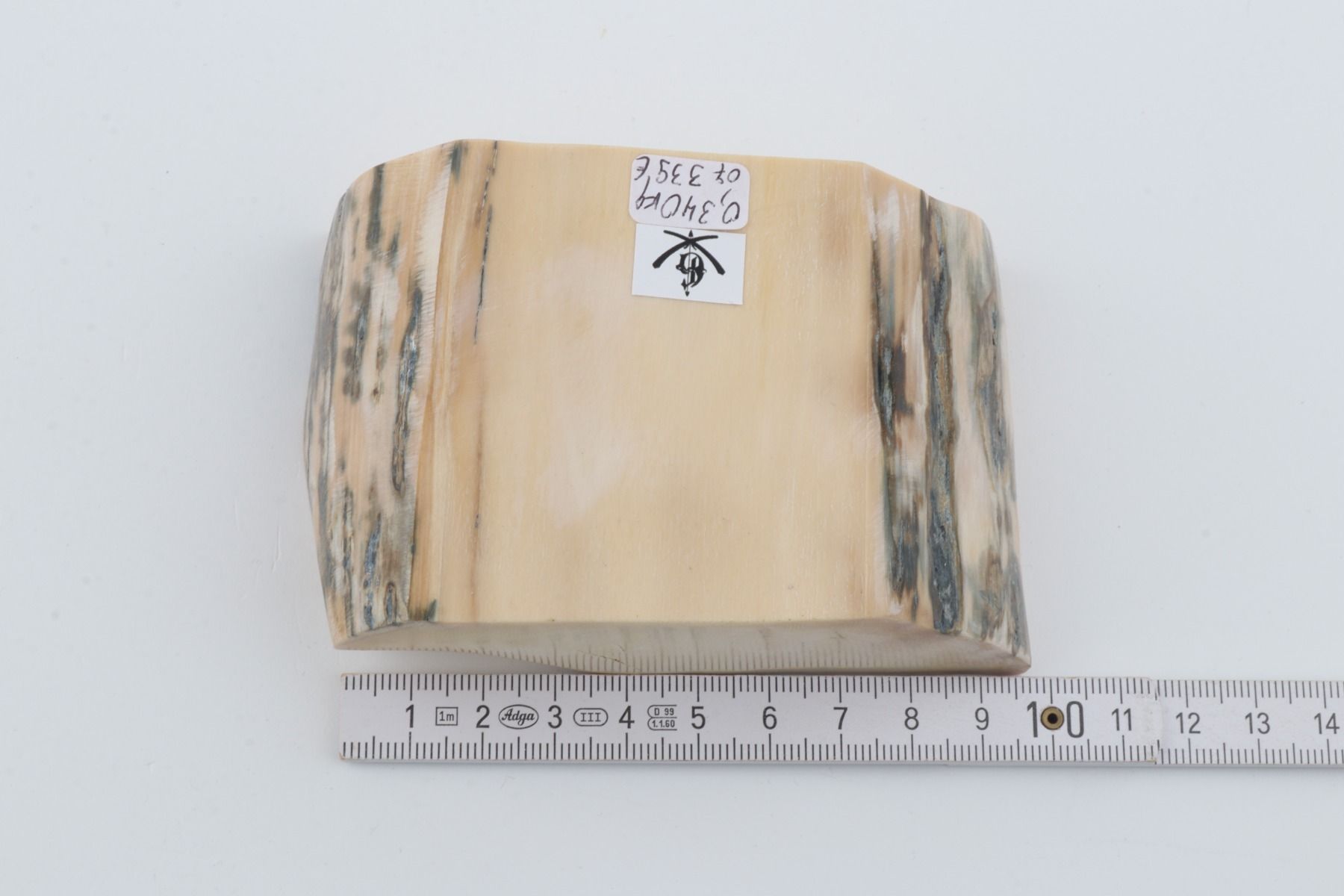 White mammoth ivory segment
