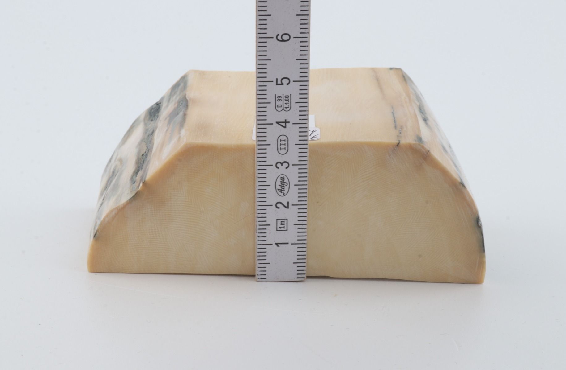 White mammoth ivory segment