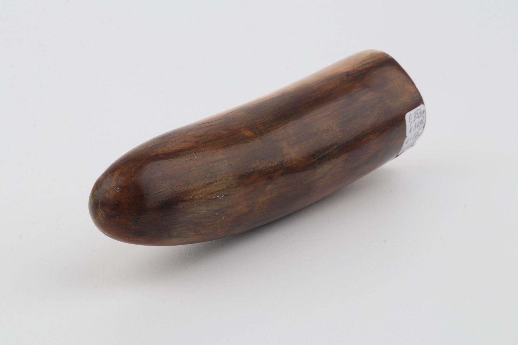 Restored woolly mammoth tusk tip
