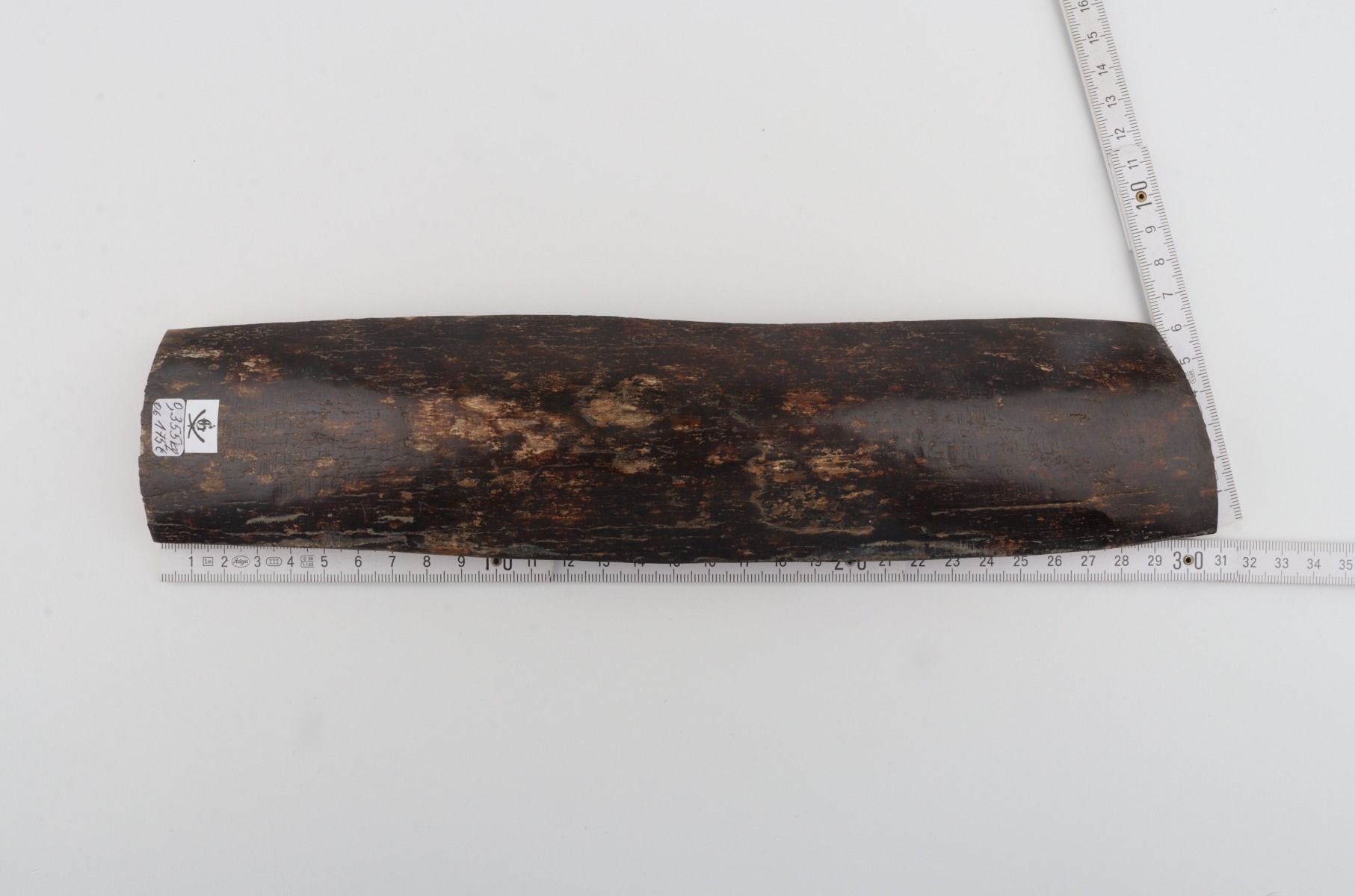 Brown mammoth bark