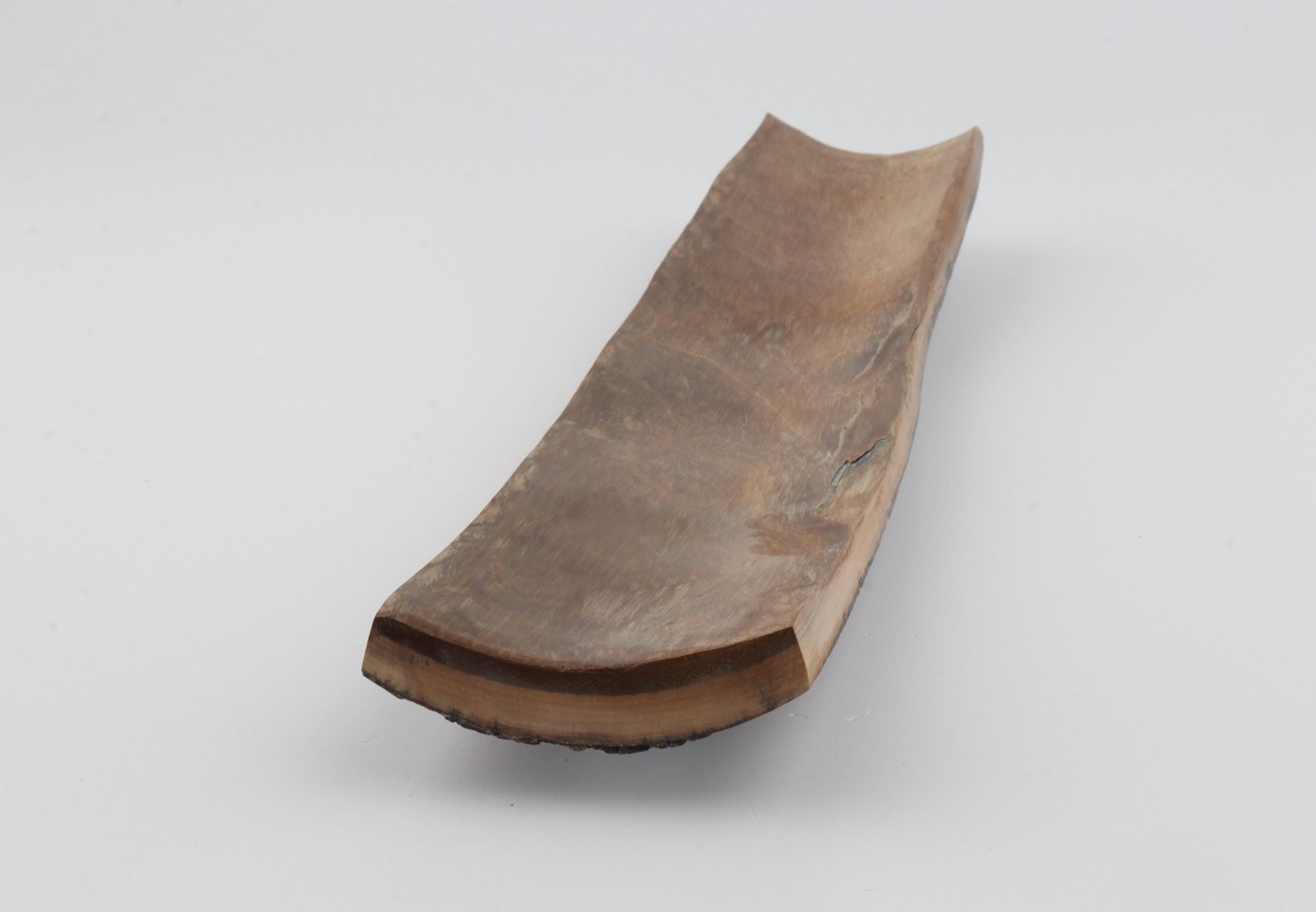 Brown mammoth bark
