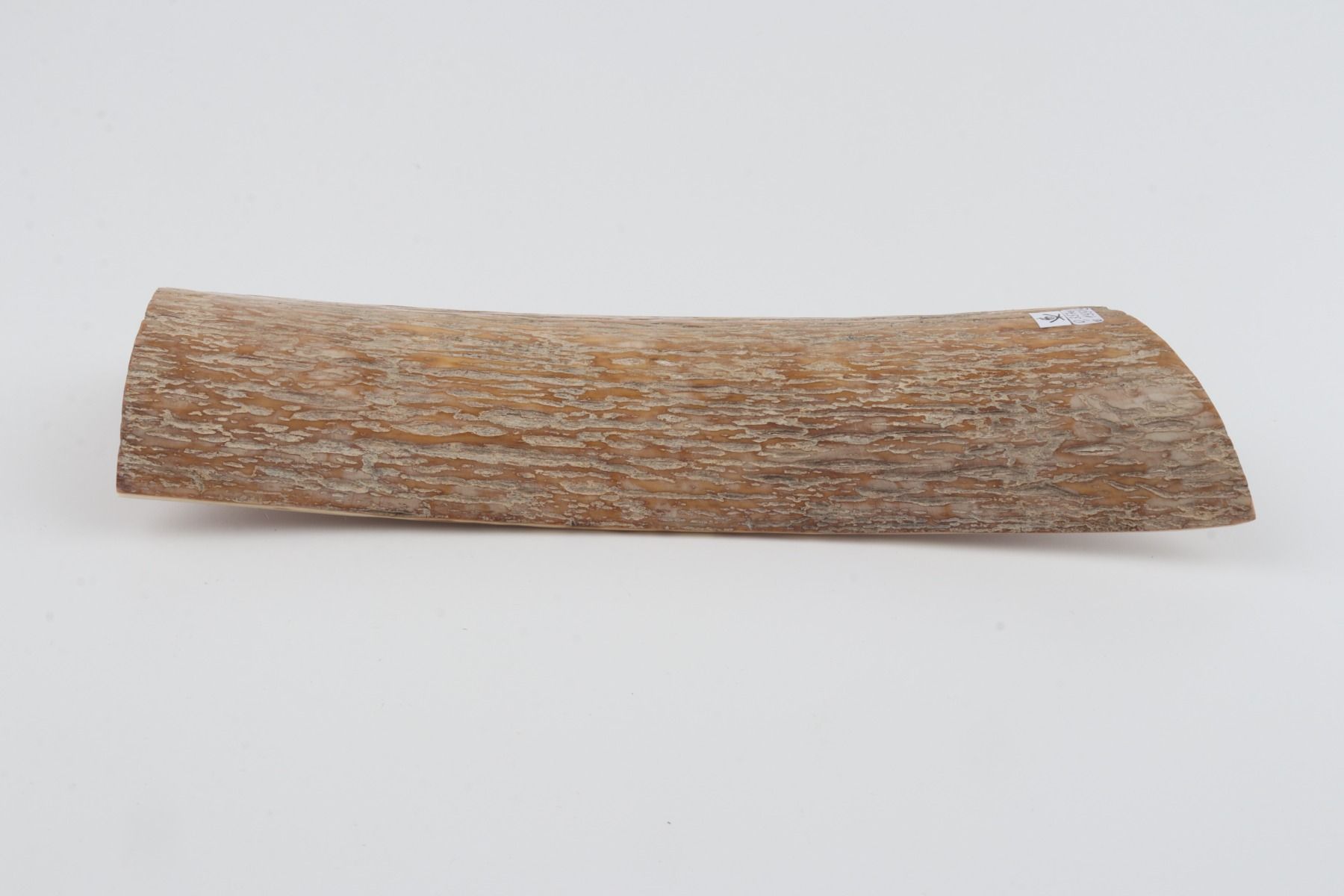 Caramel mammoth bark