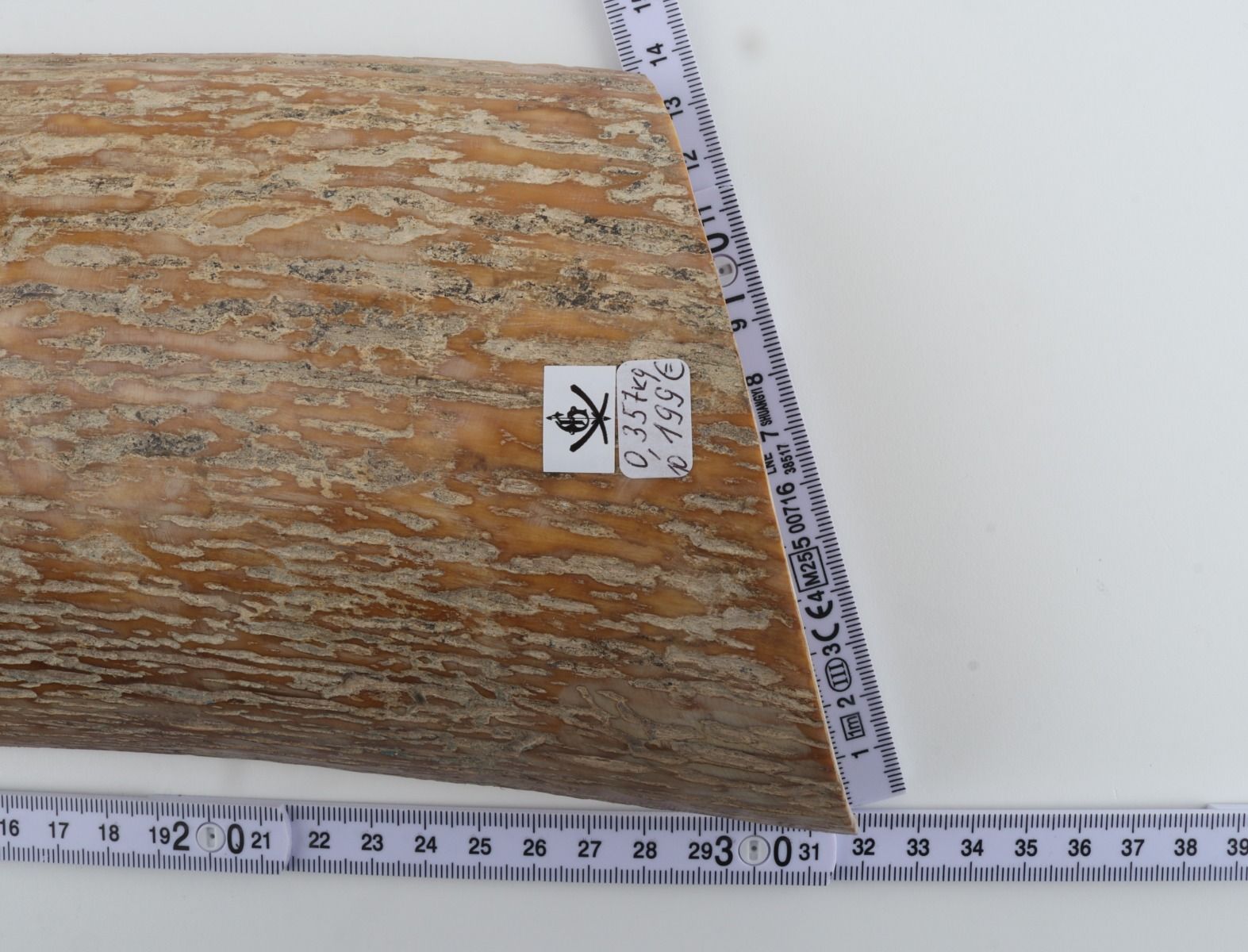 Caramel mammoth bark