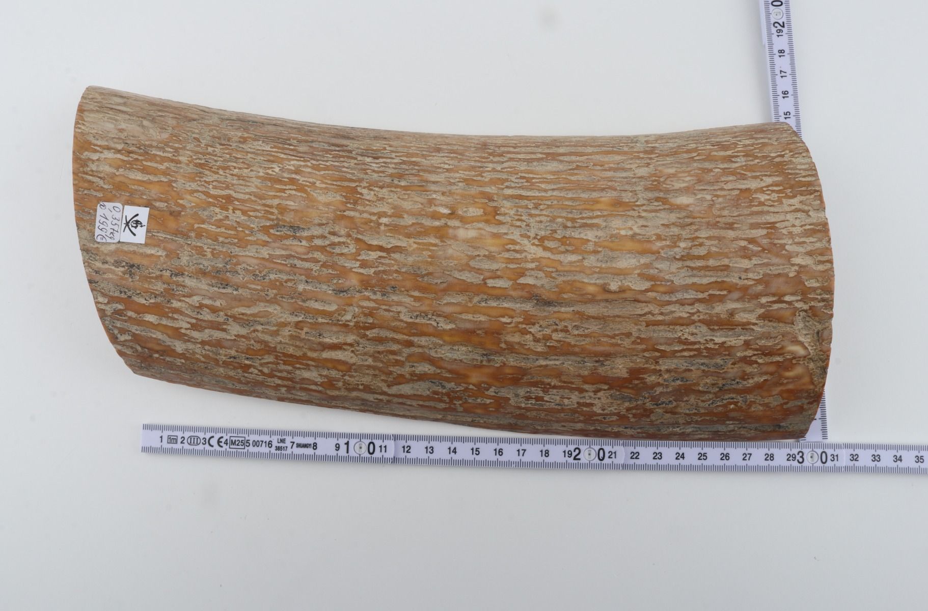 Caramel mammoth bark
