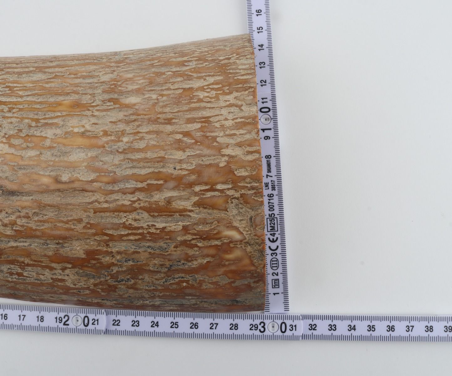 Caramel mammoth bark
