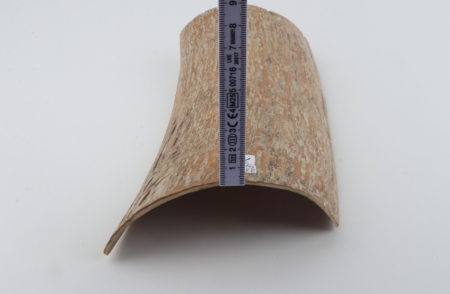 Caramel mammoth bark