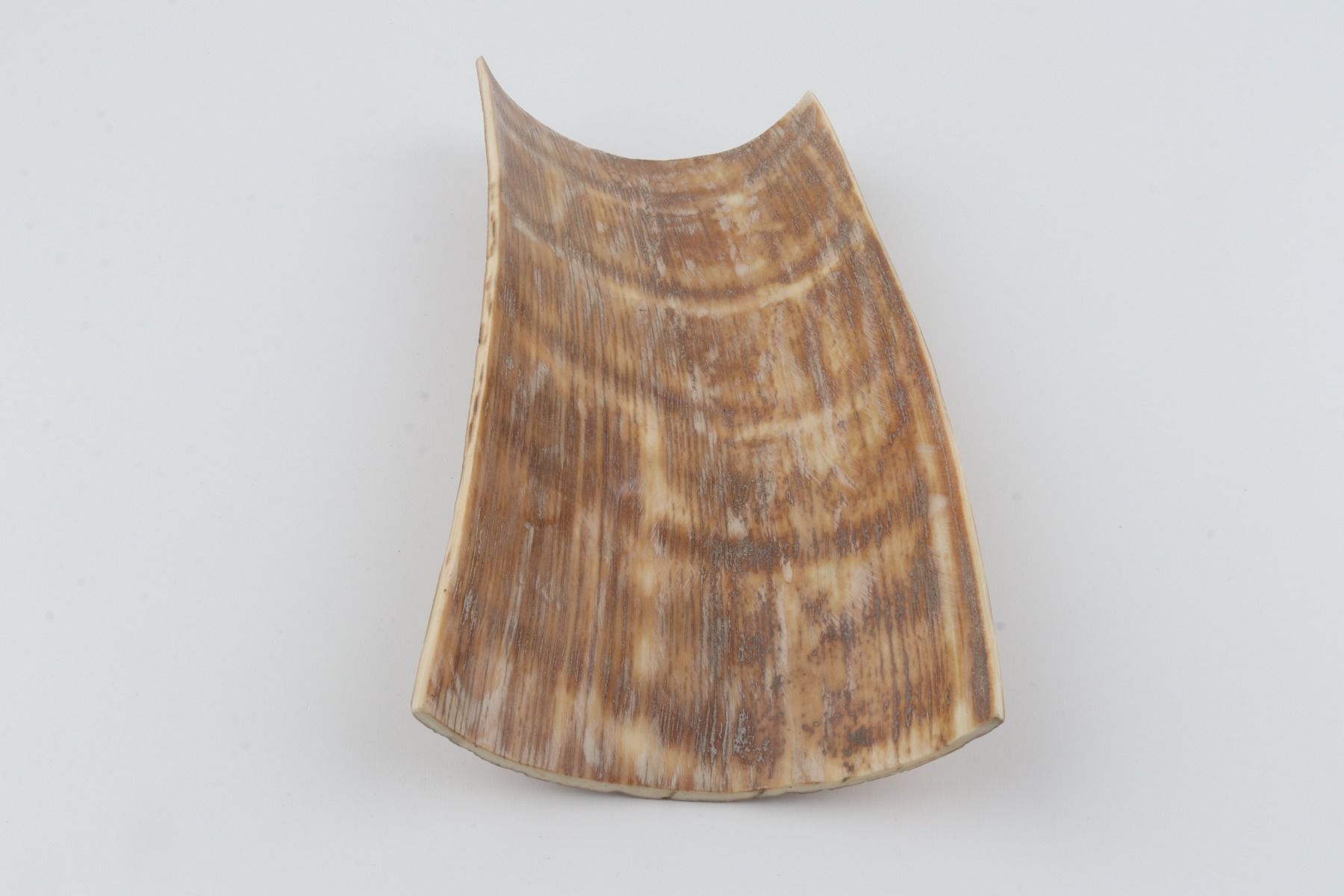 Caramel mammoth bark