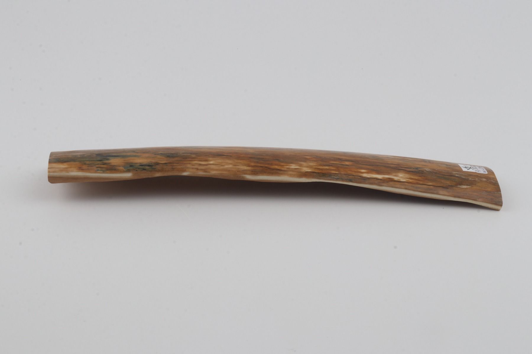 Orange mammoth bark