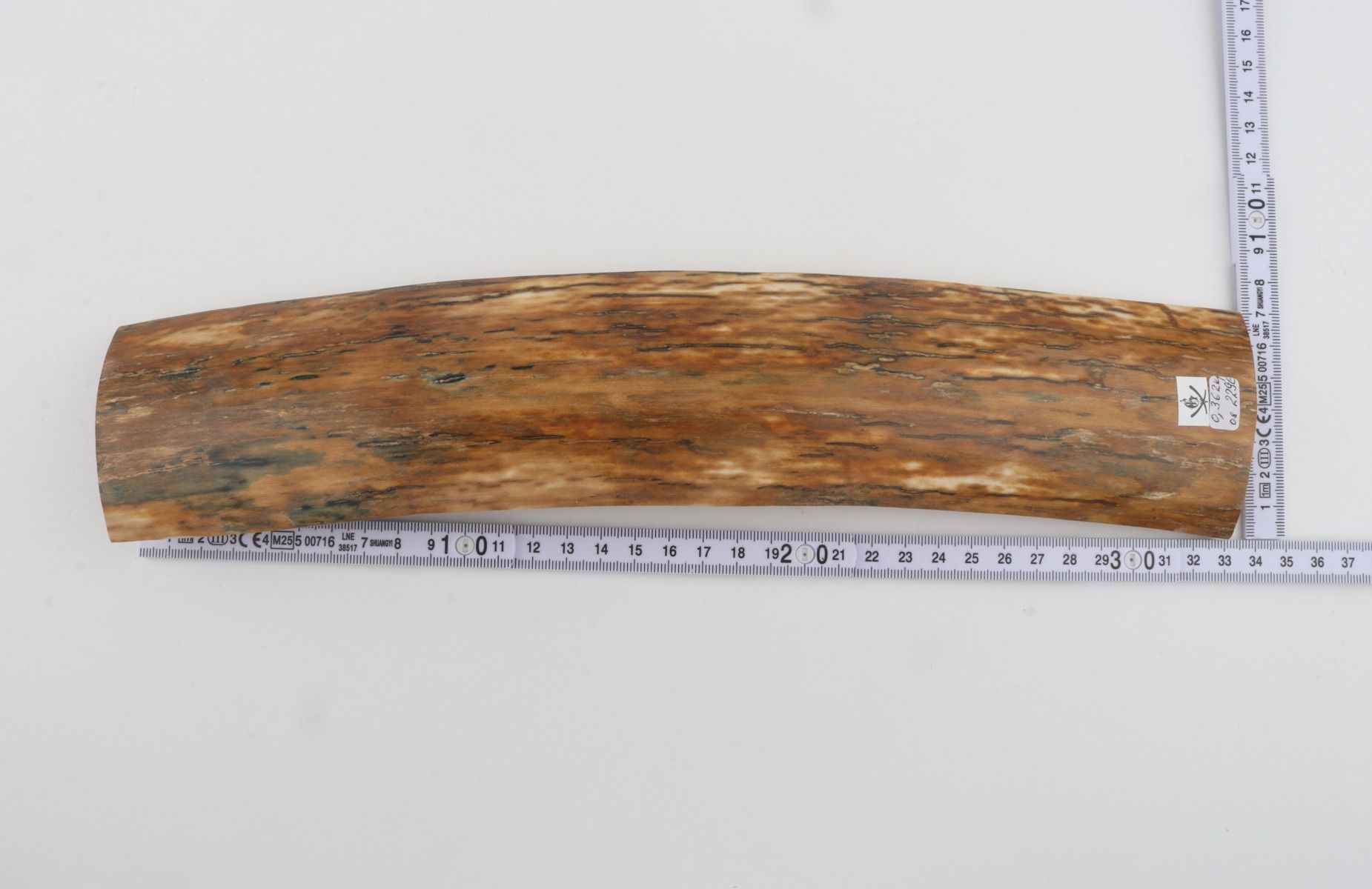 Orange mammoth bark