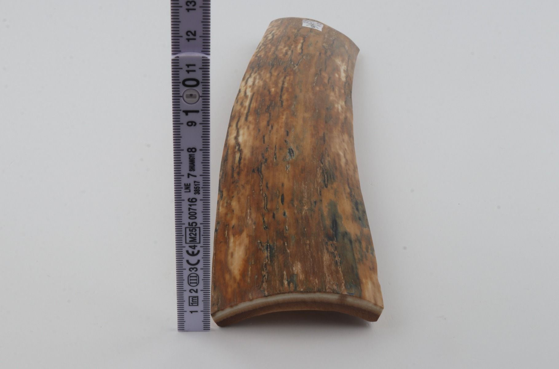 Orange mammoth bark