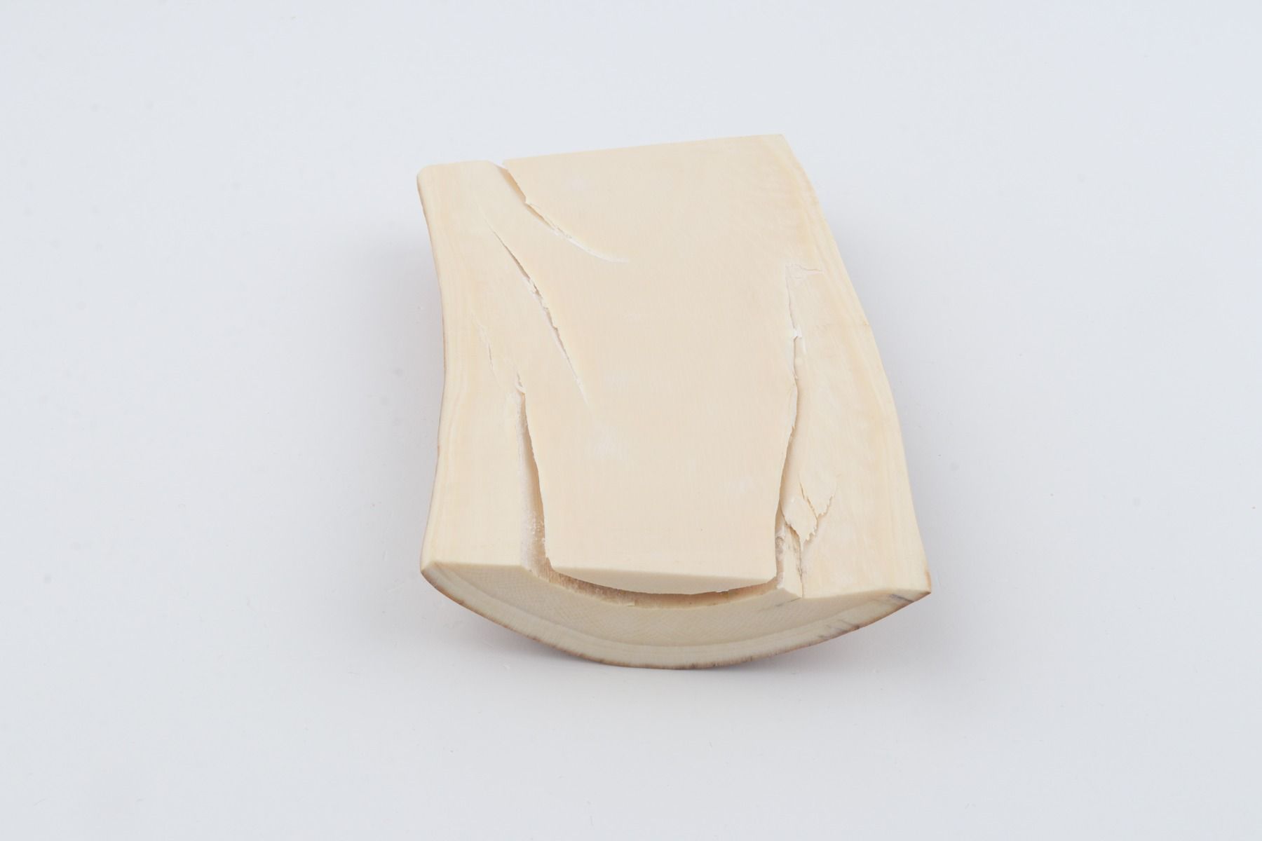 Natural mammoth ivory piece