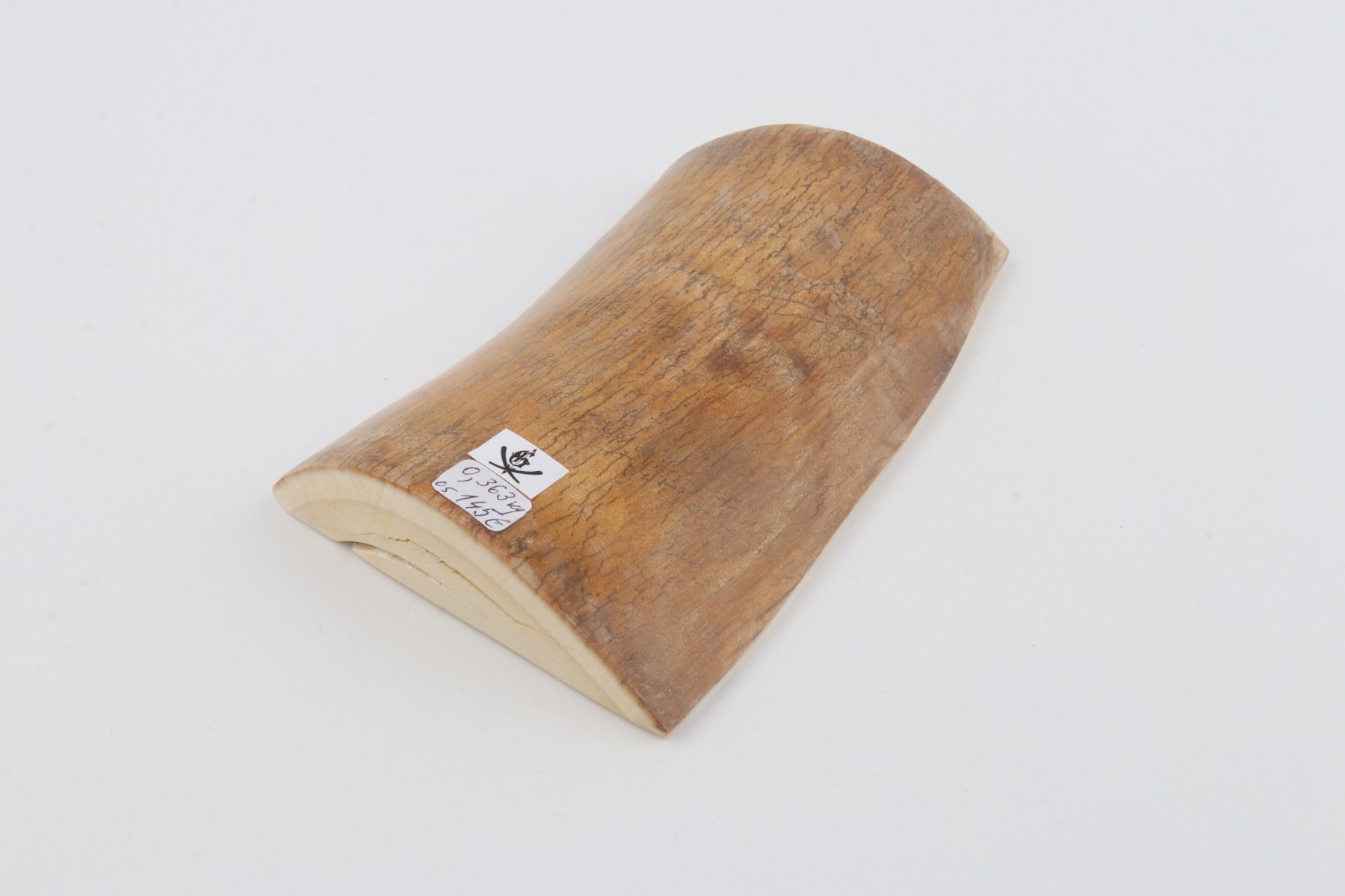 Natural mammoth ivory piece