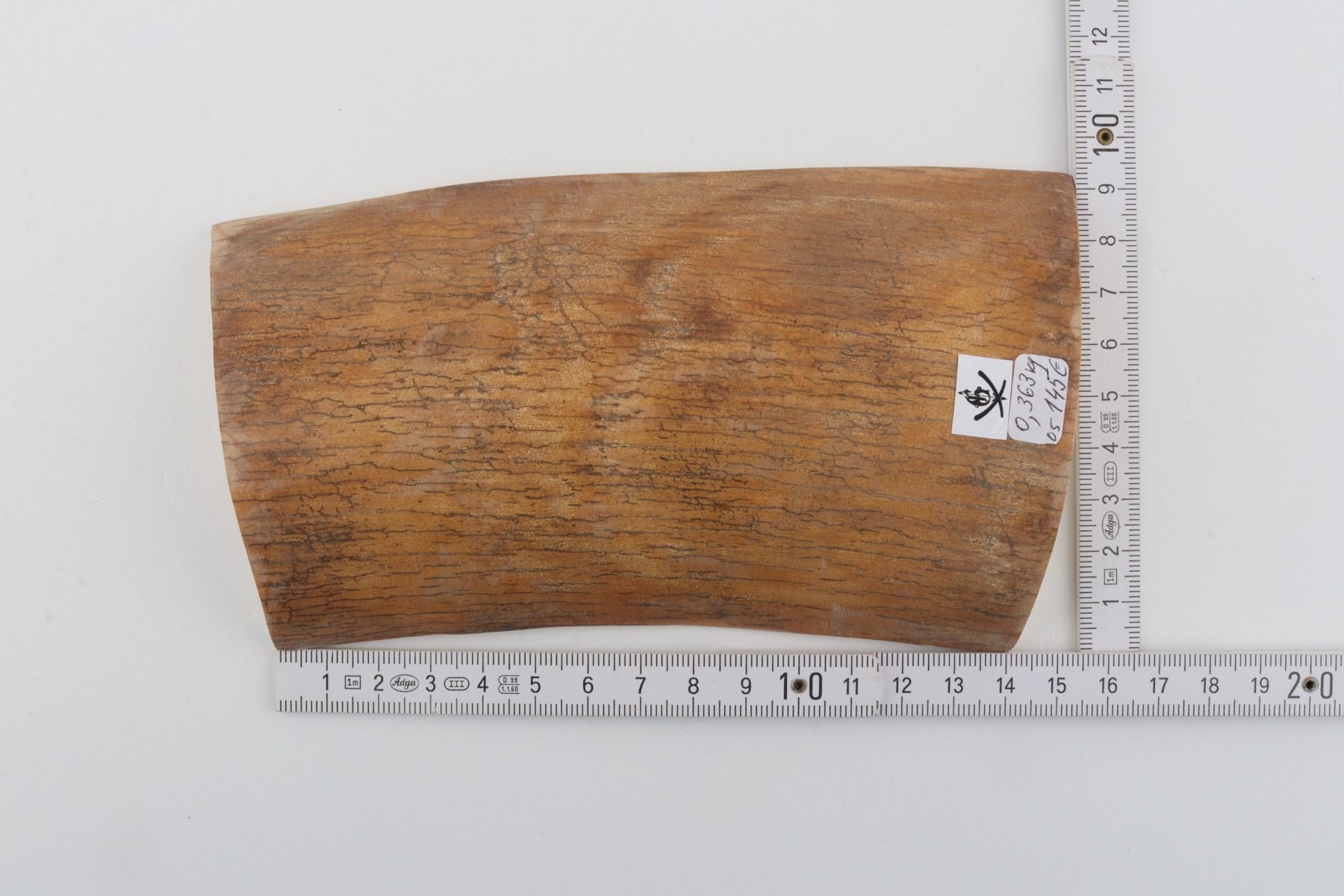 Natural mammoth ivory piece