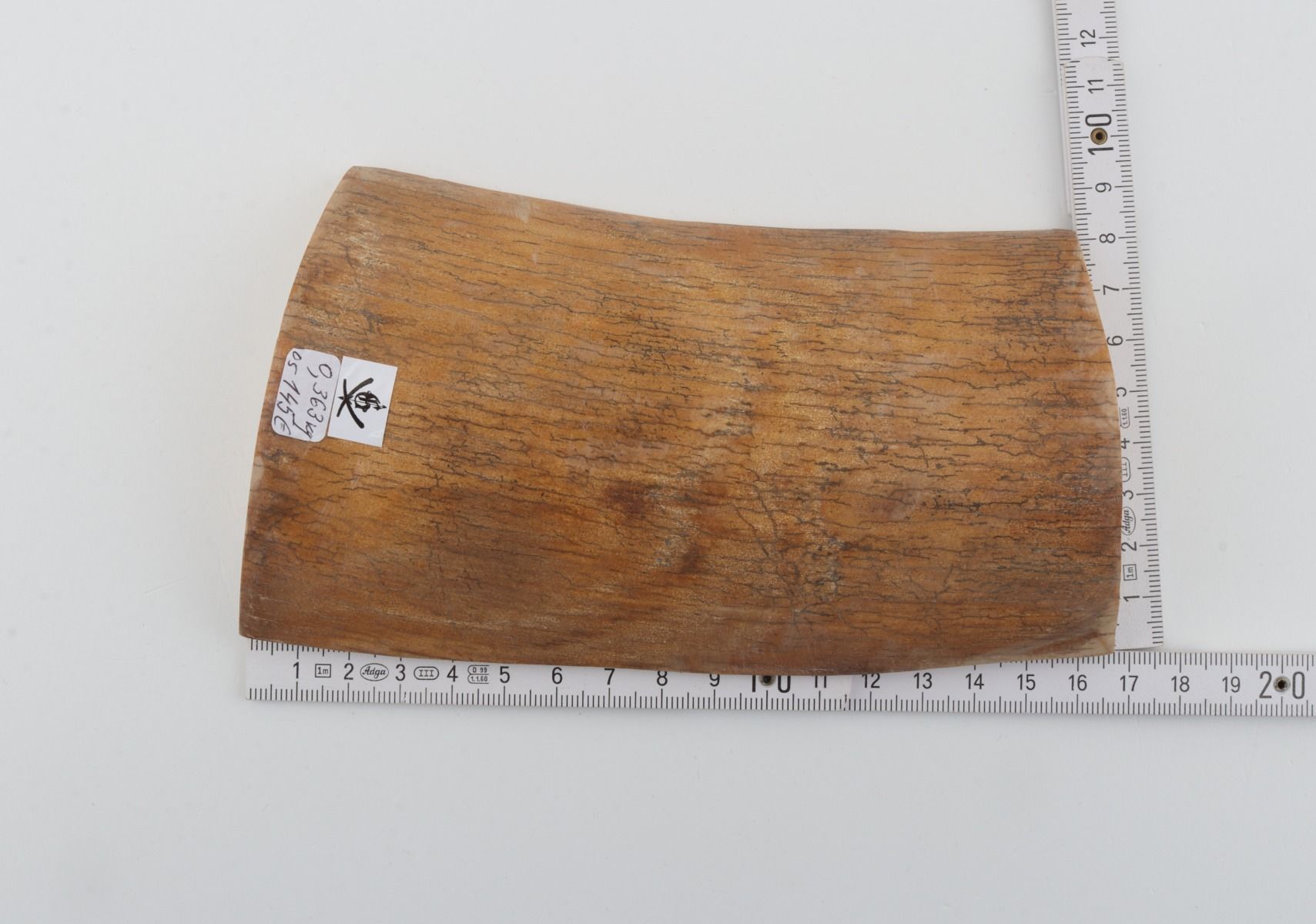 Natural mammoth ivory piece