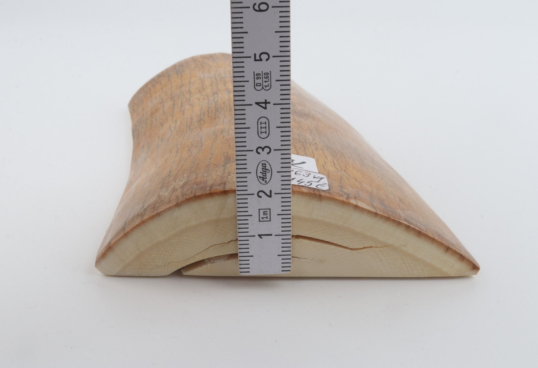 Natural mammoth ivory piece