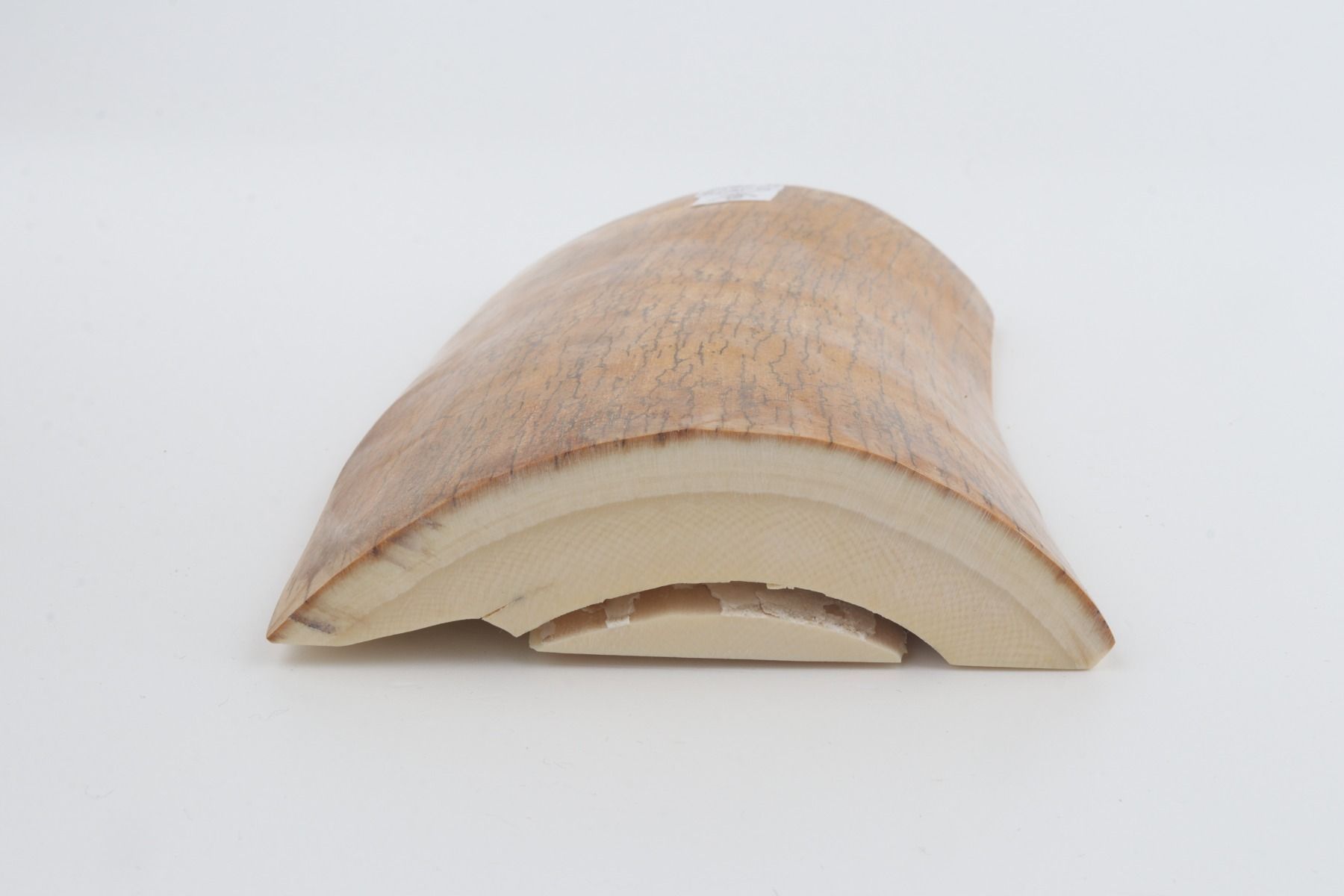 Natural mammoth ivory piece