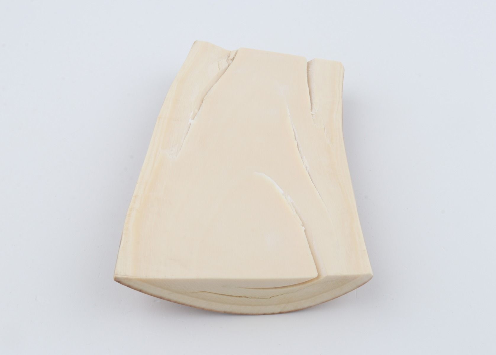 Natural mammoth ivory piece