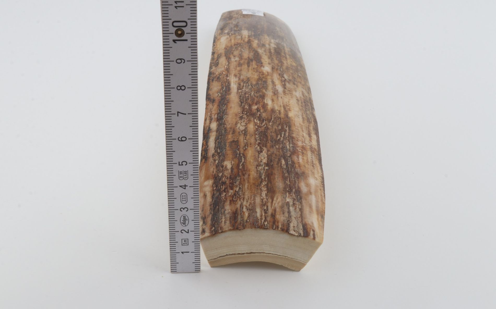 Beige-brown mammoth bark