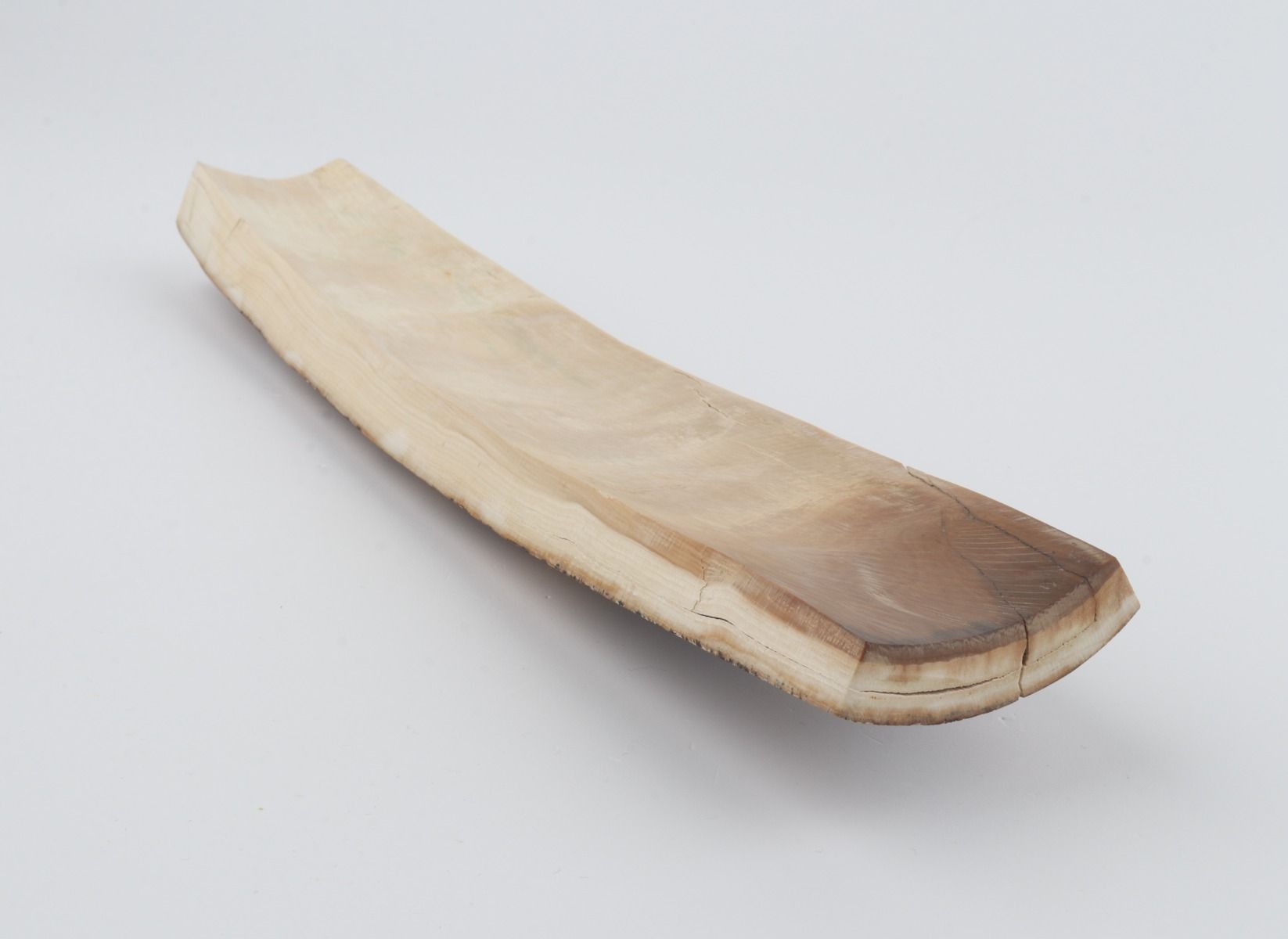 Beige-brown mammoth bark