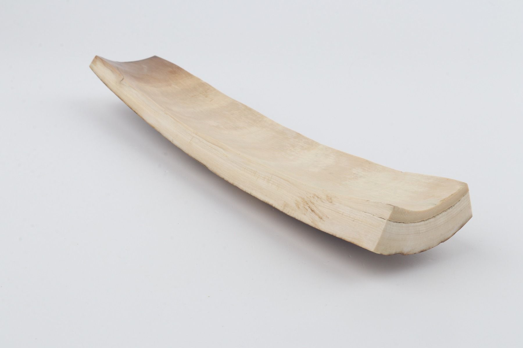 Beige-brown mammoth bark