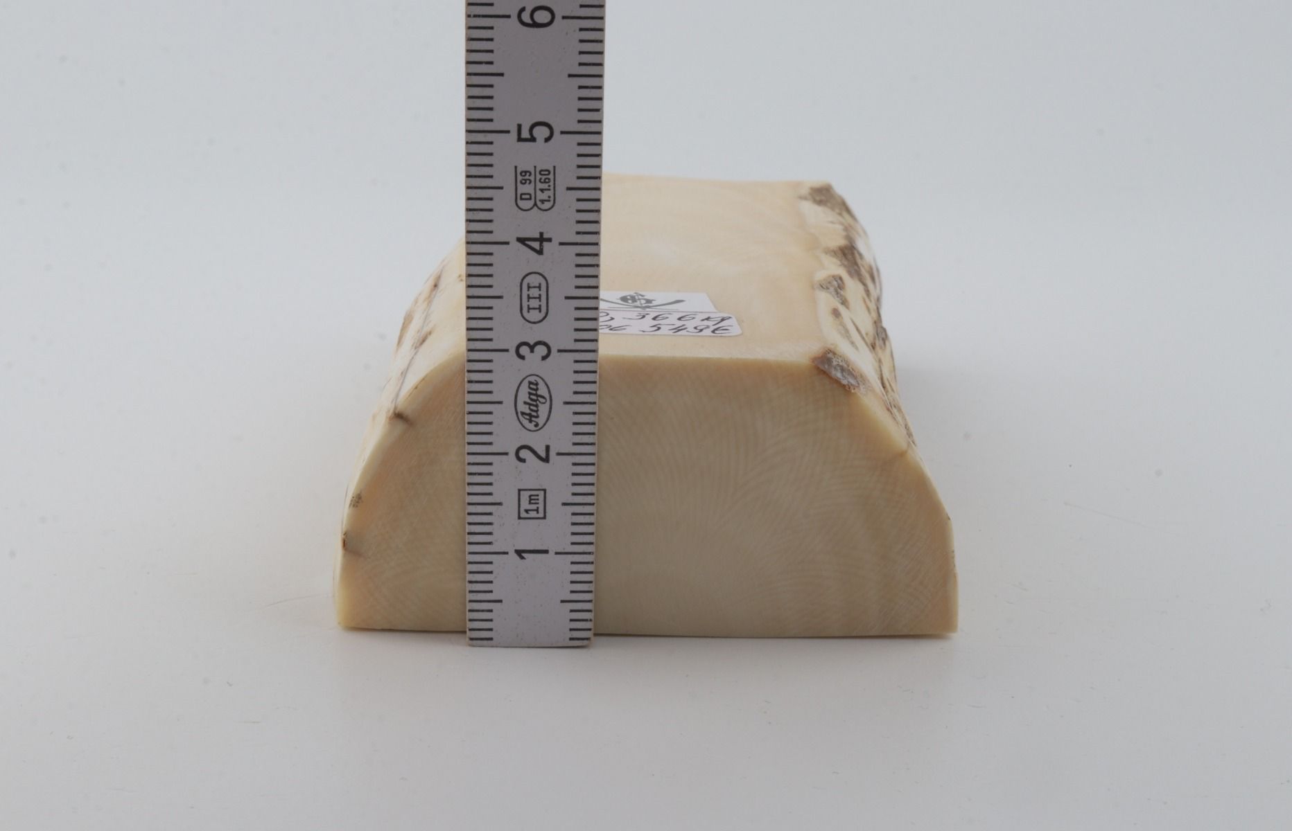 White mammoth ivory segment