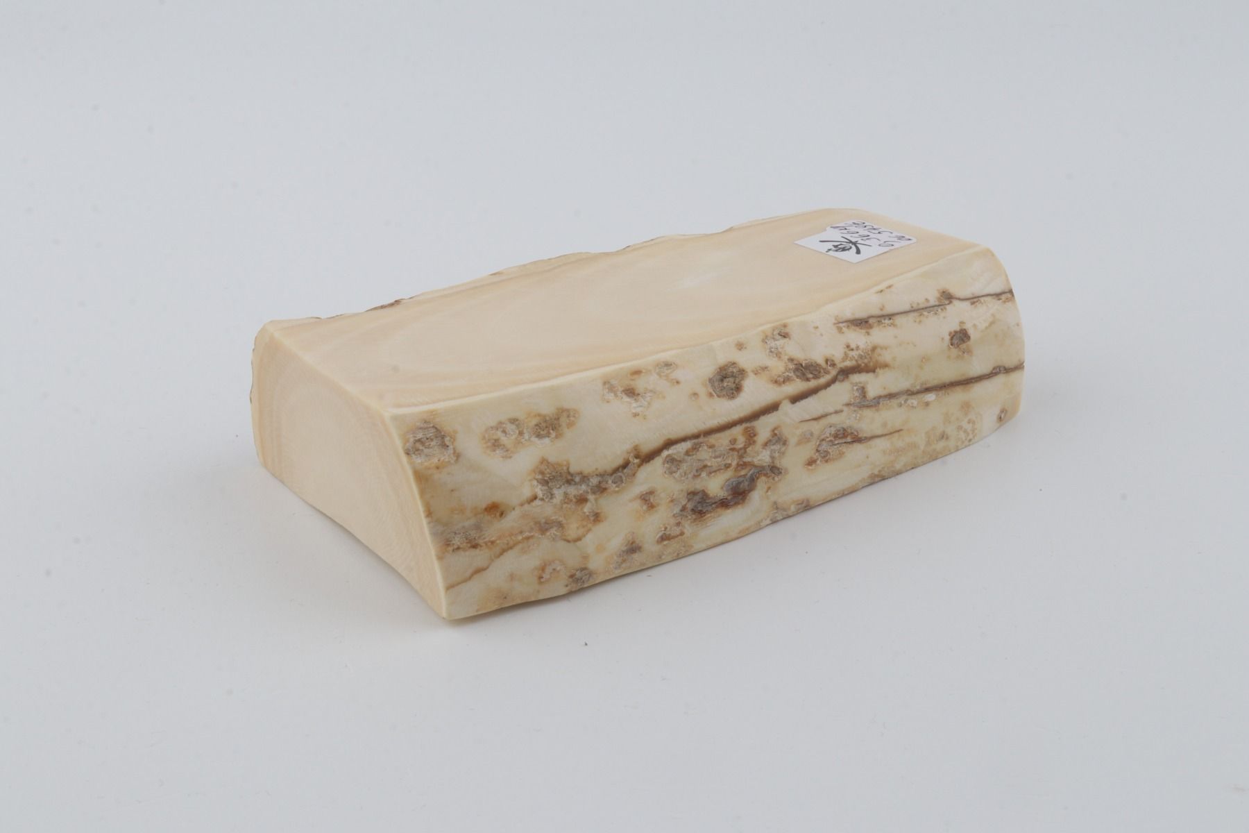 White mammoth ivory segment