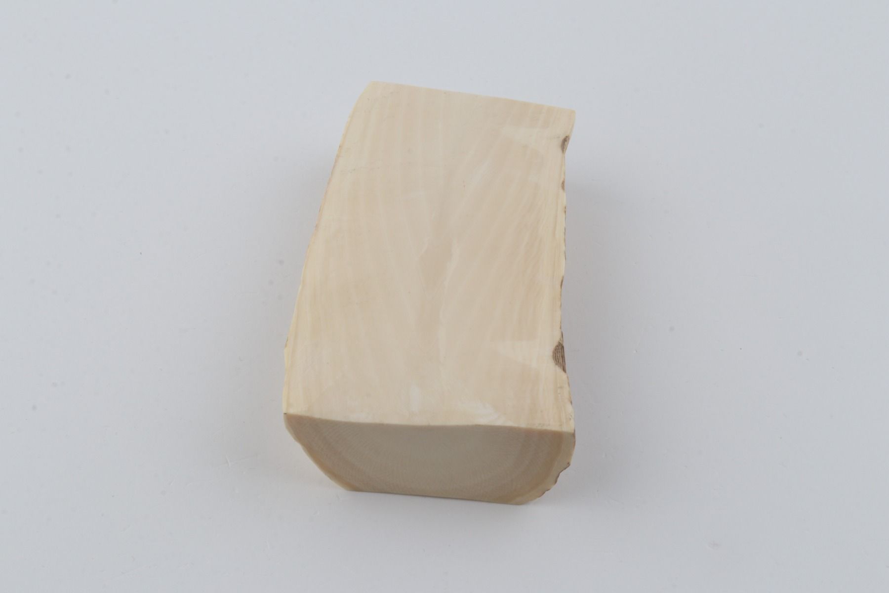 White mammoth ivory segment