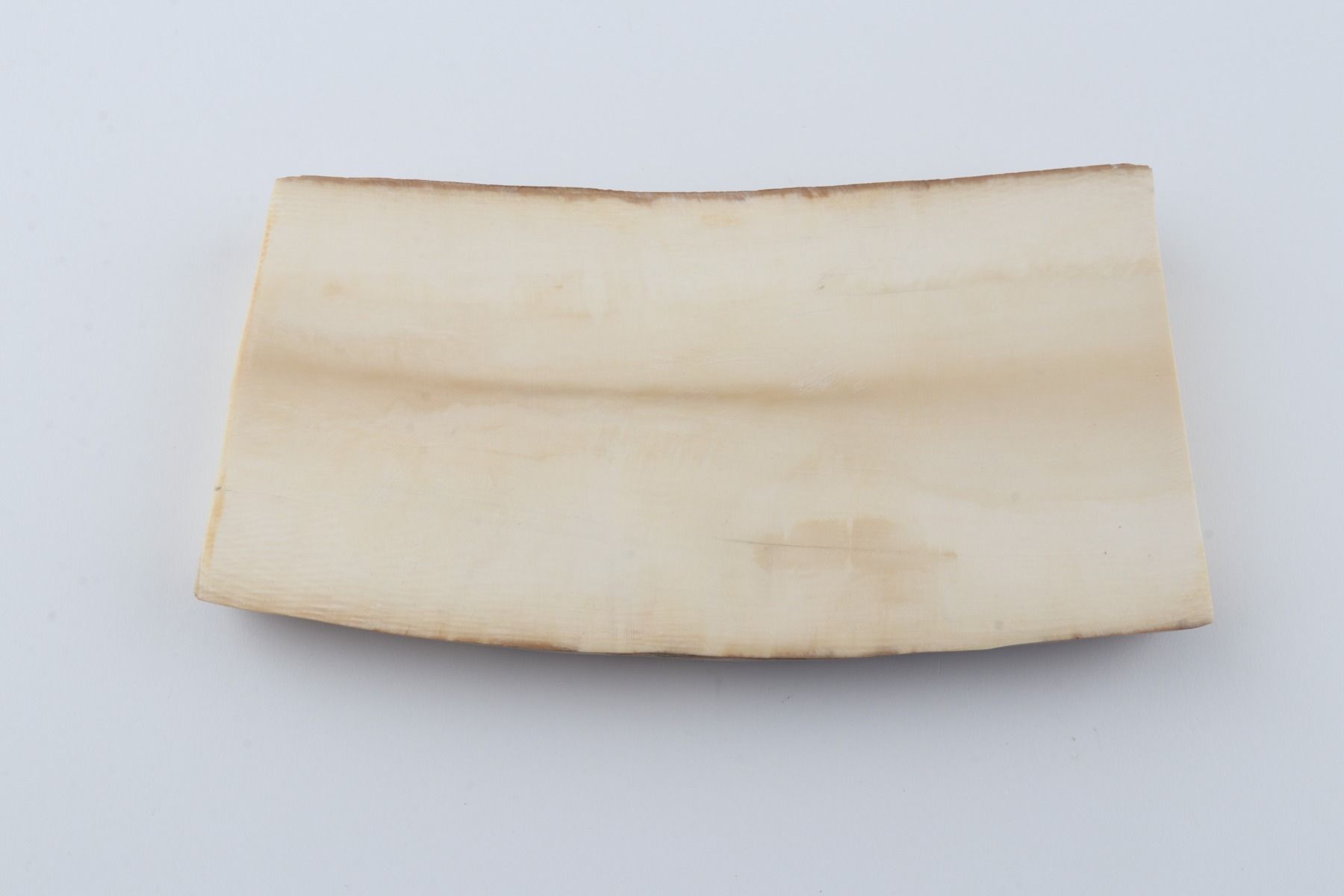 White mammoth ivory segment