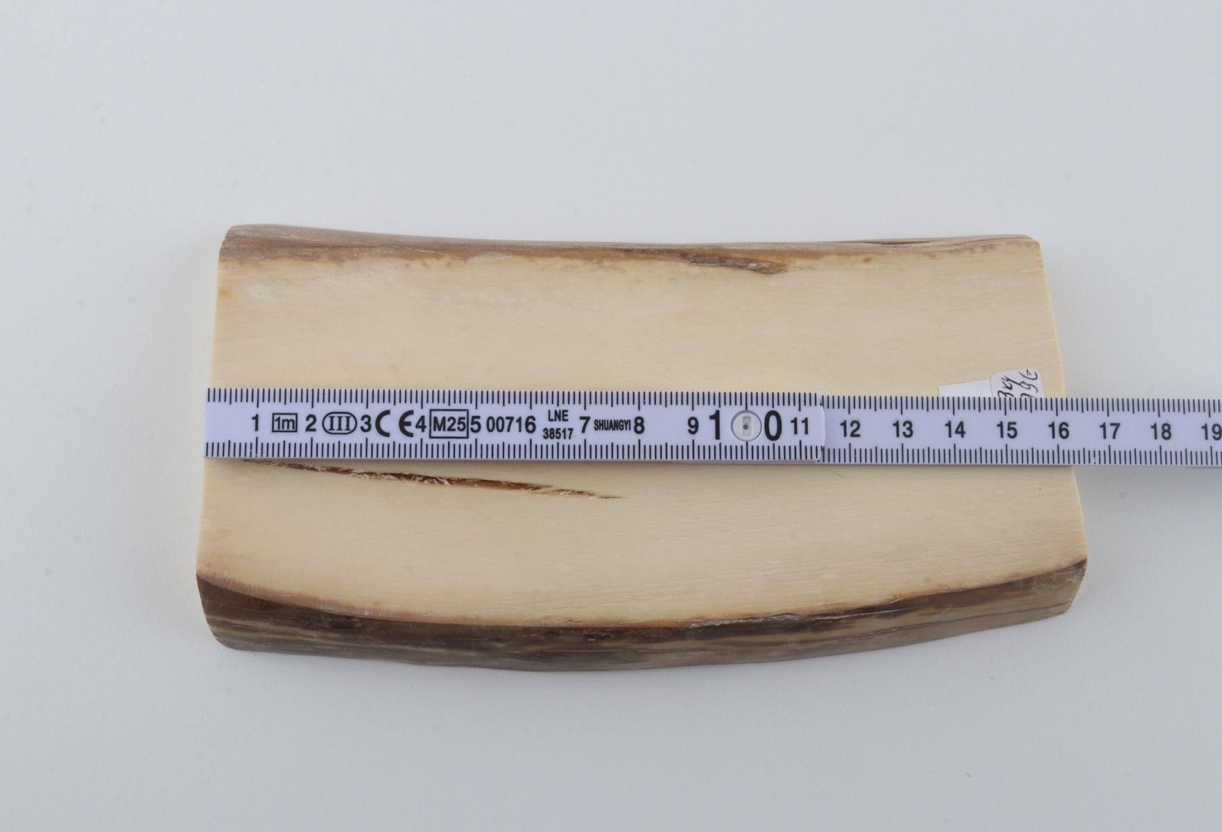 White mammoth ivory segment