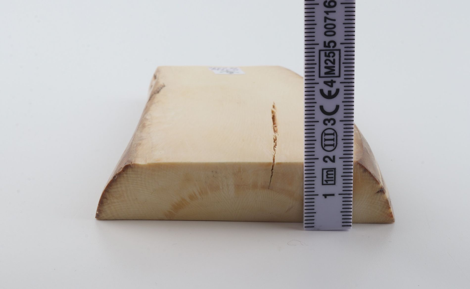 White mammoth ivory segment