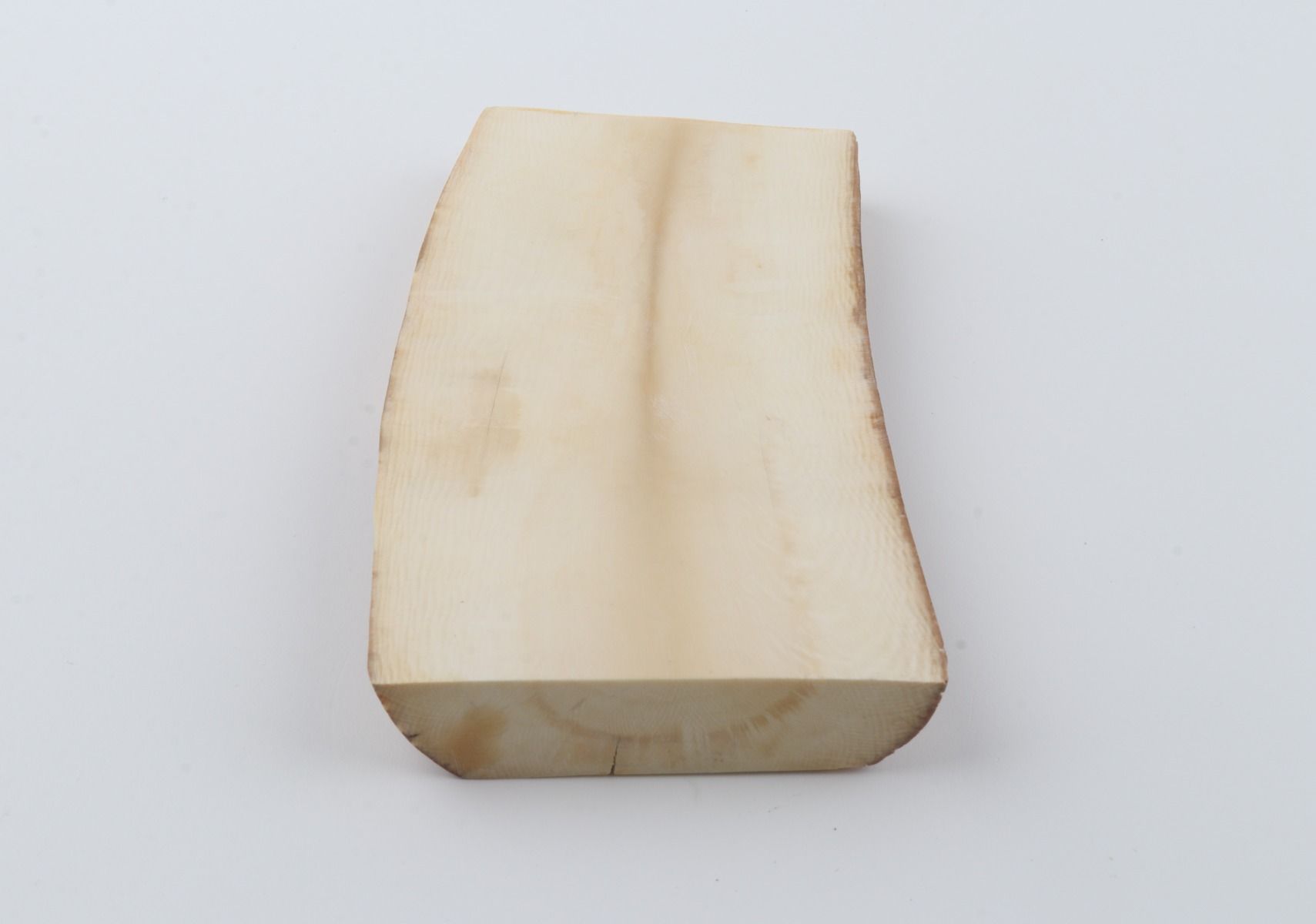White mammoth ivory segment