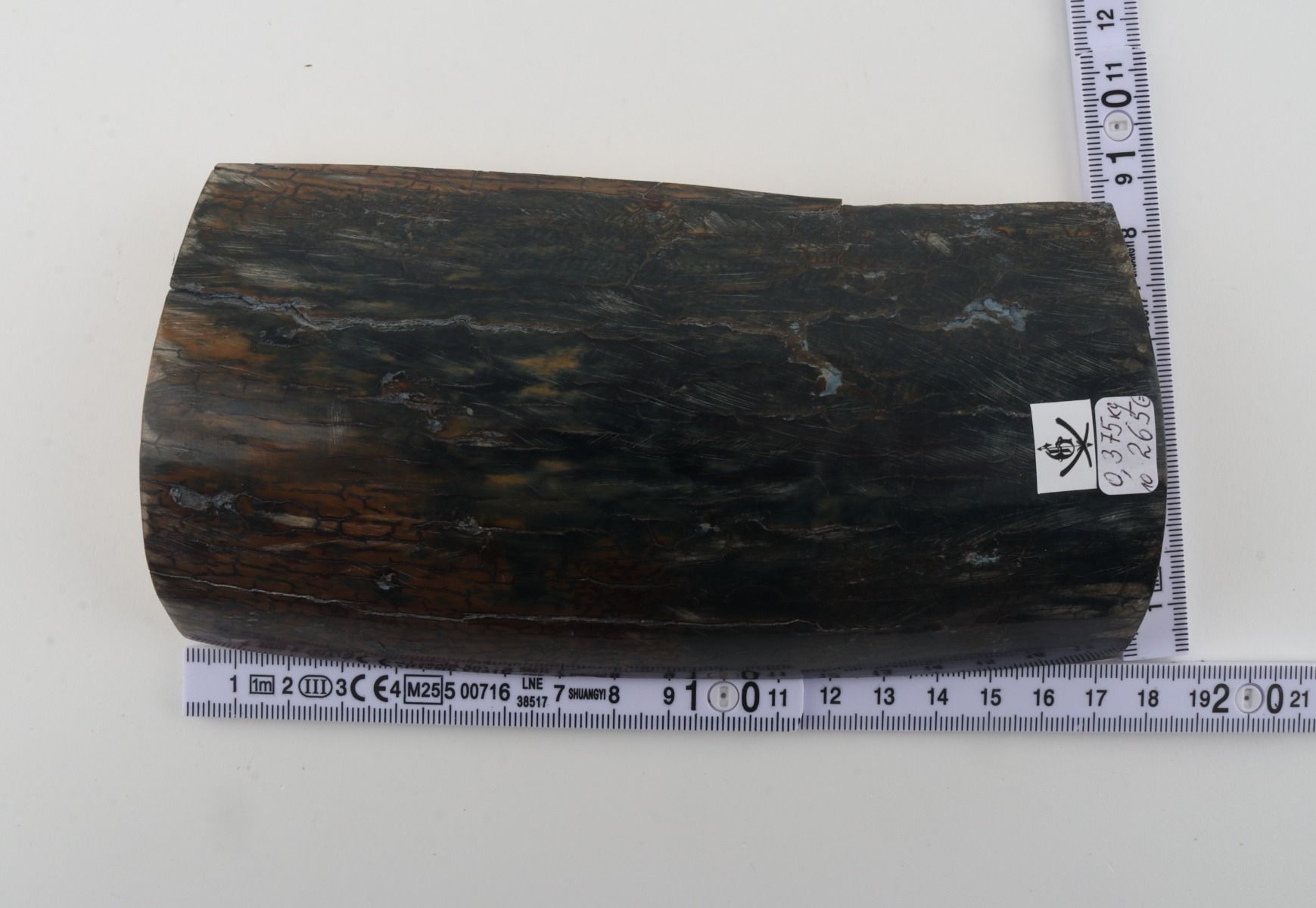 Blue-brown mammoth bark