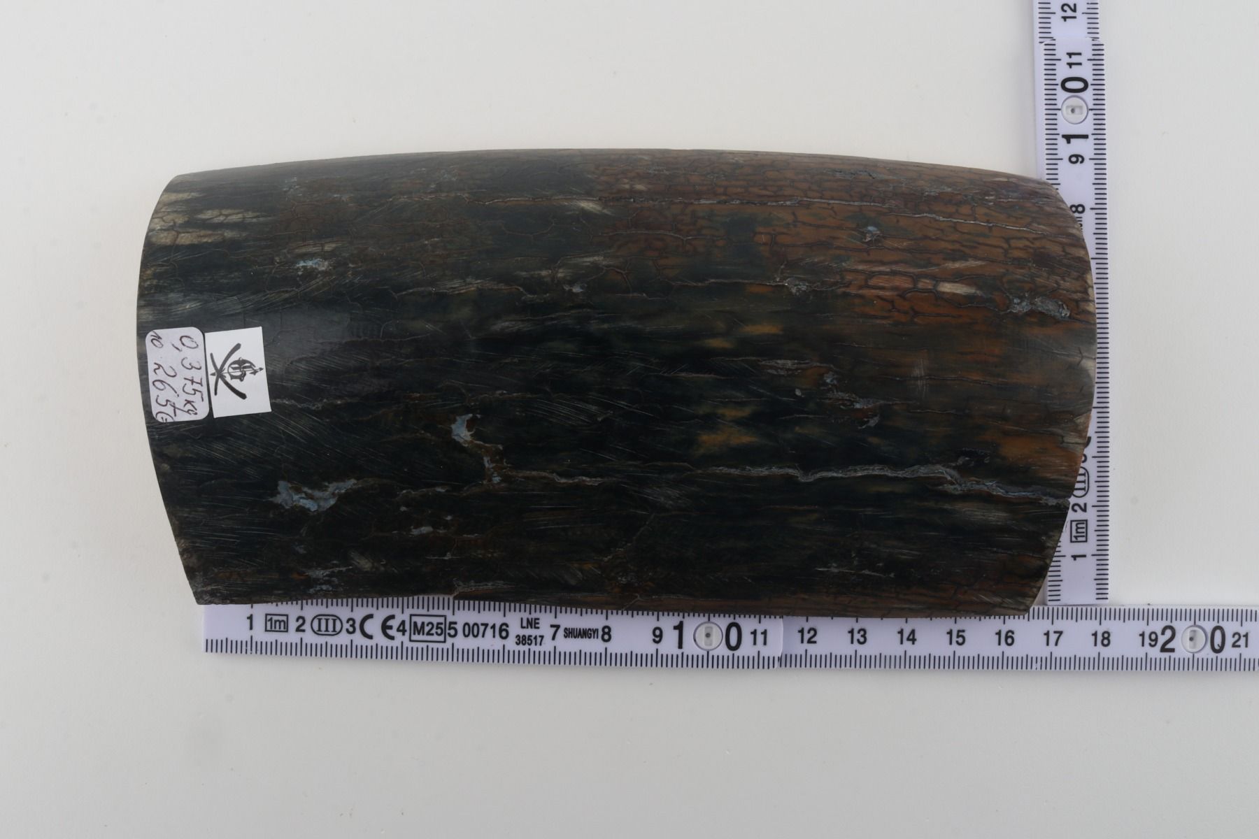 Blue-brown mammoth bark