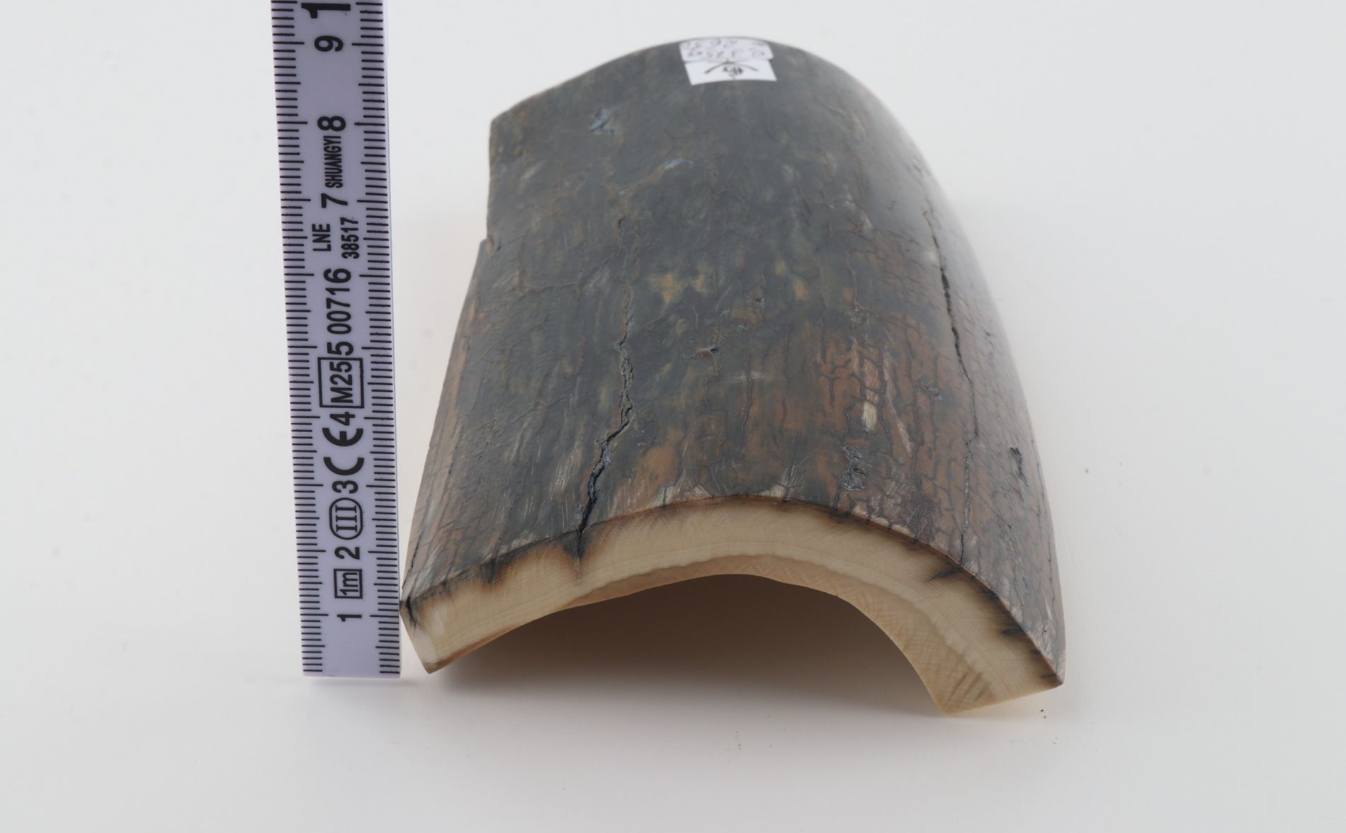 Blue-brown mammoth bark