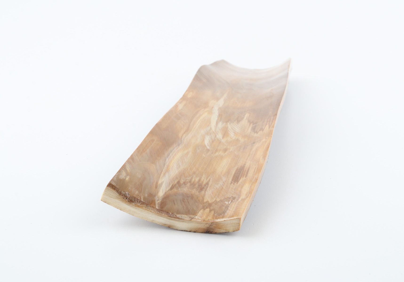 Brown mammoth bark