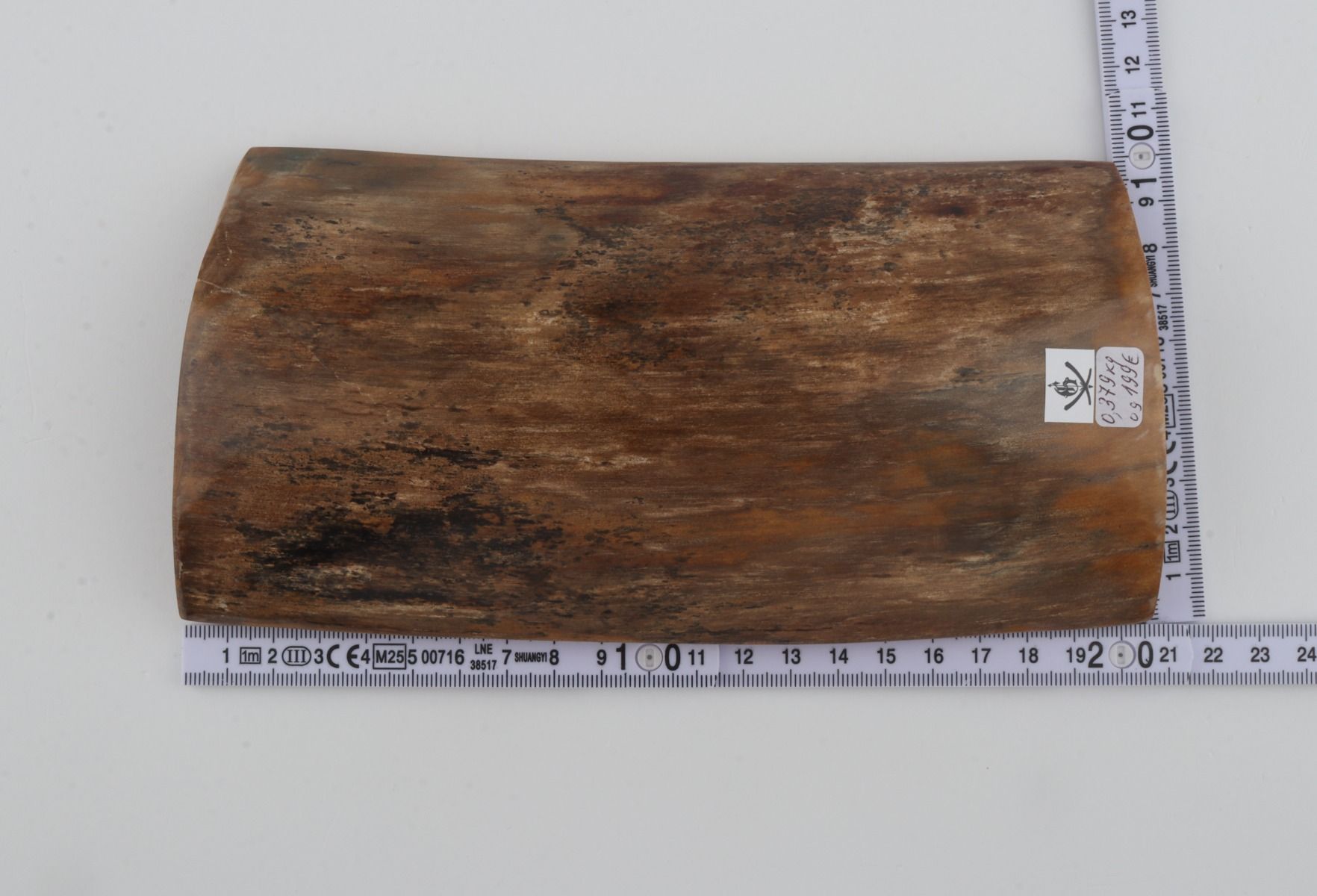 Beige mammoth bark