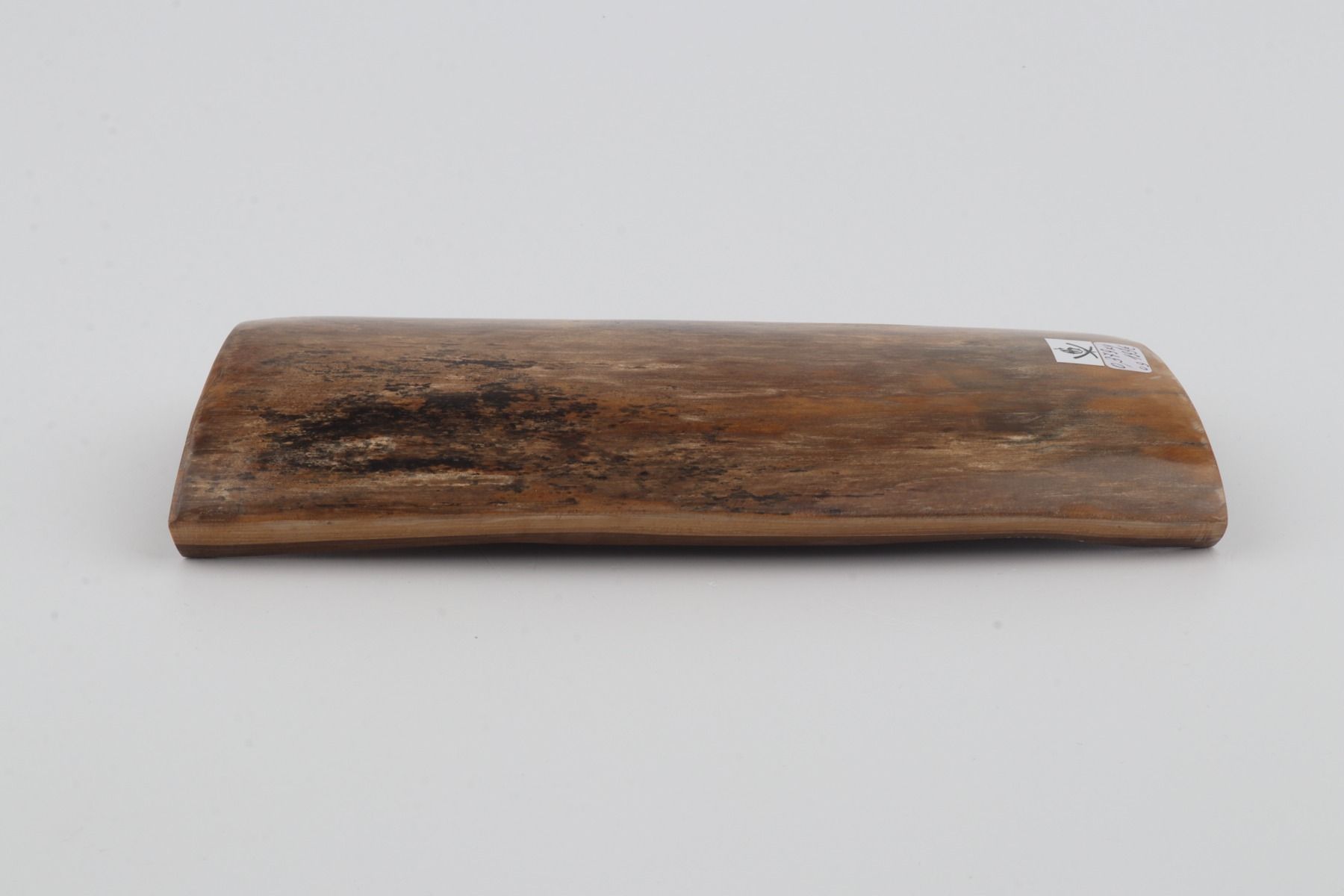 Beige mammoth bark