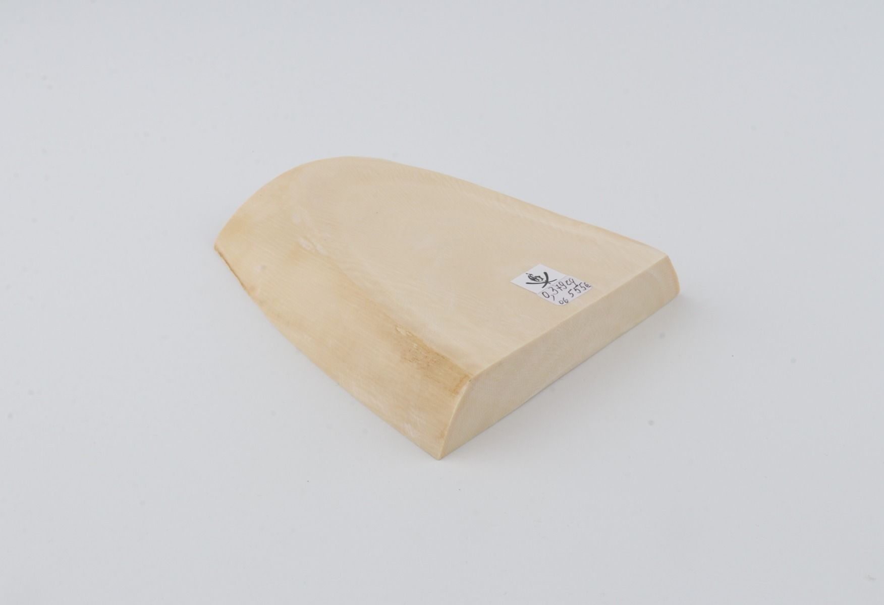 White mammoth ivory segment