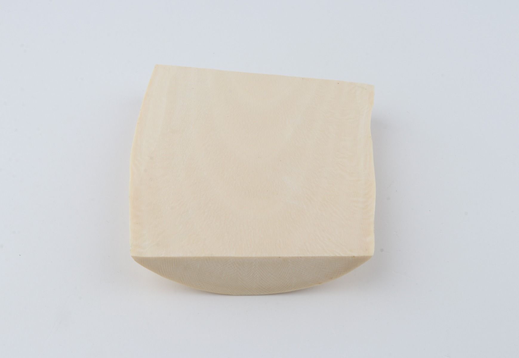 White mammoth ivory segment